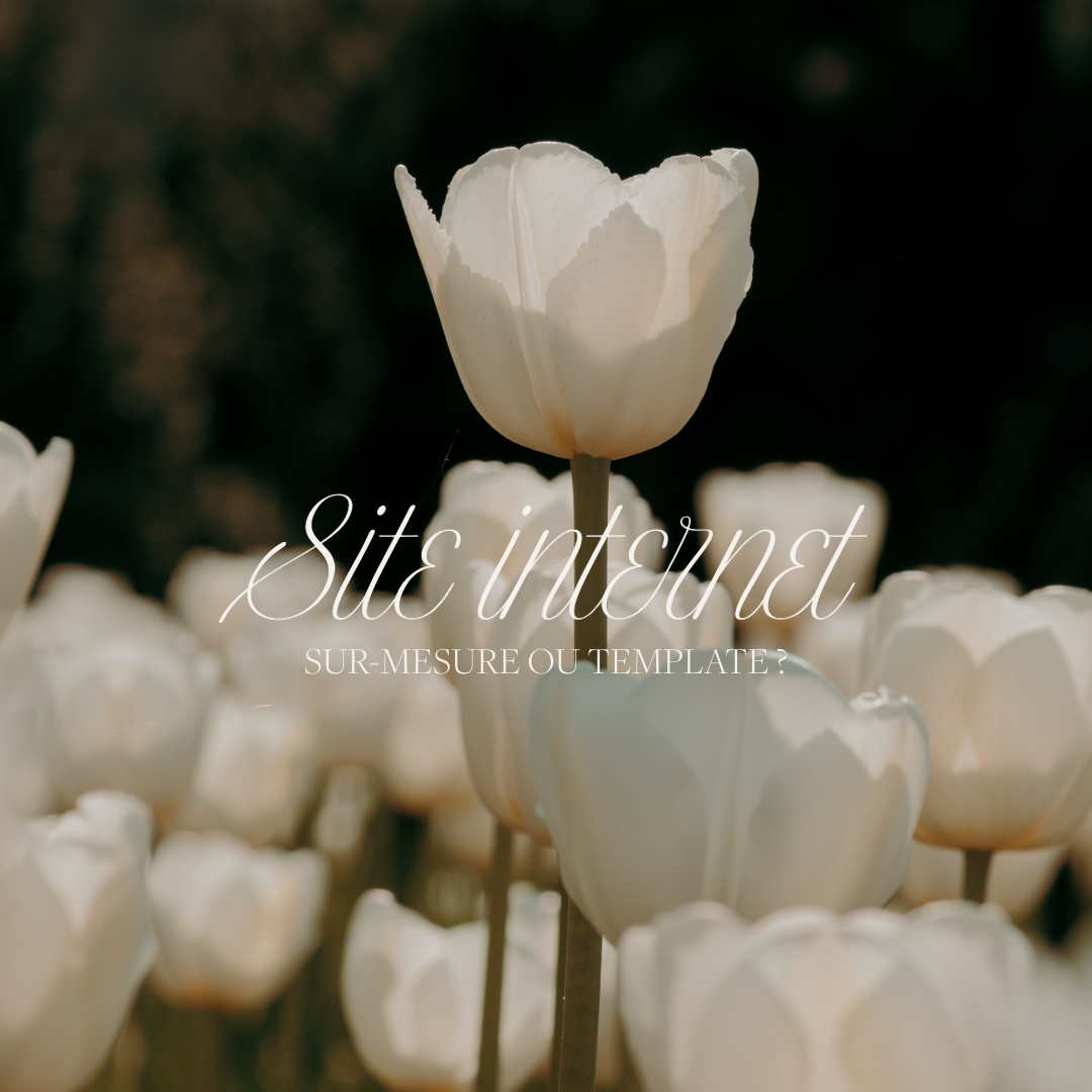 Template Squarespace ou site sur-mesure : lequel choisir pour votre activité ?