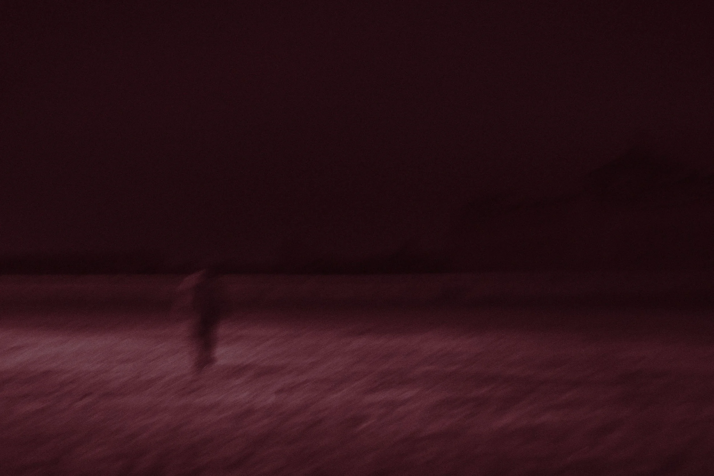 Red Dream_05.jpg