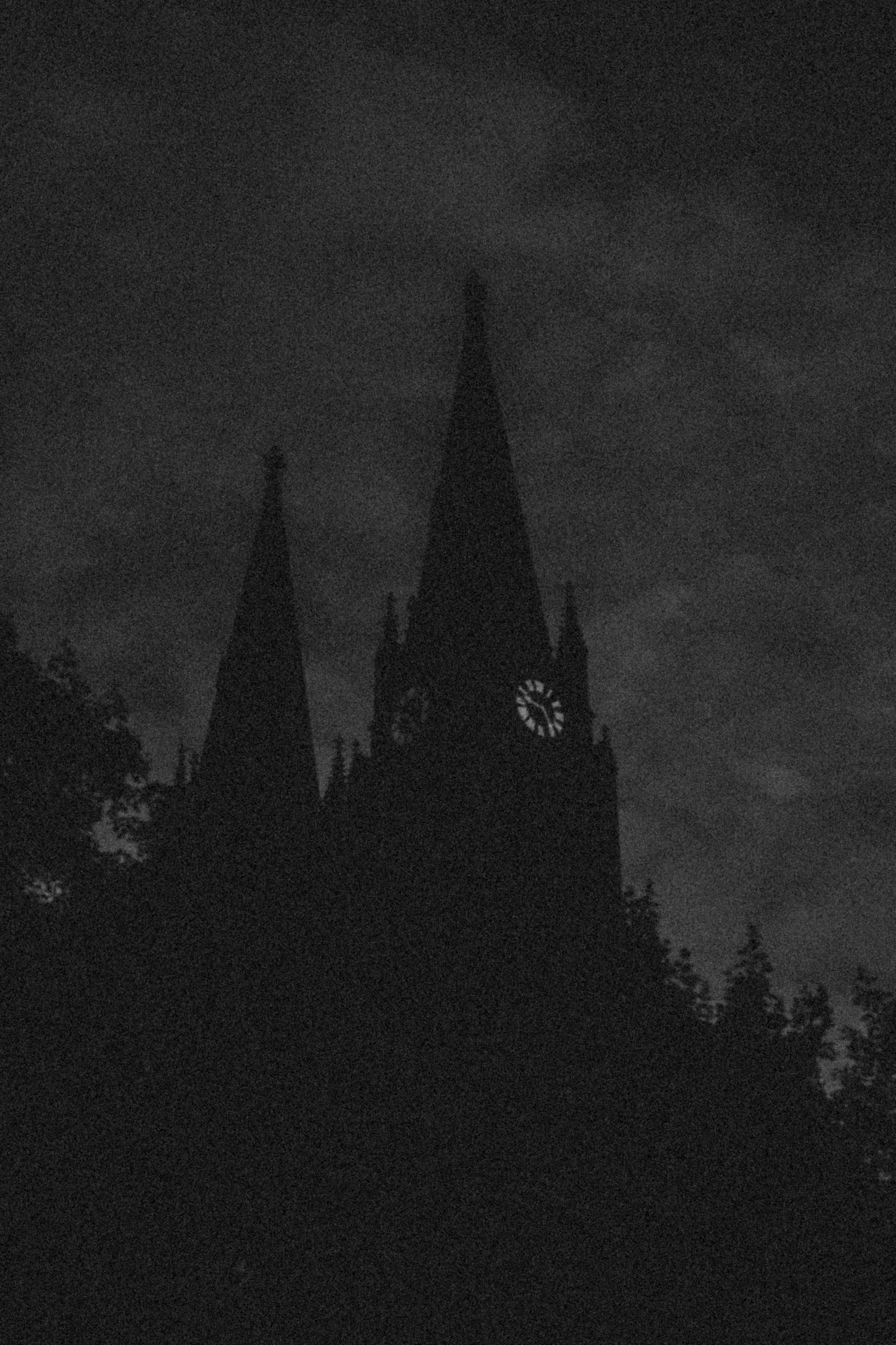 _DSF3372.jpg