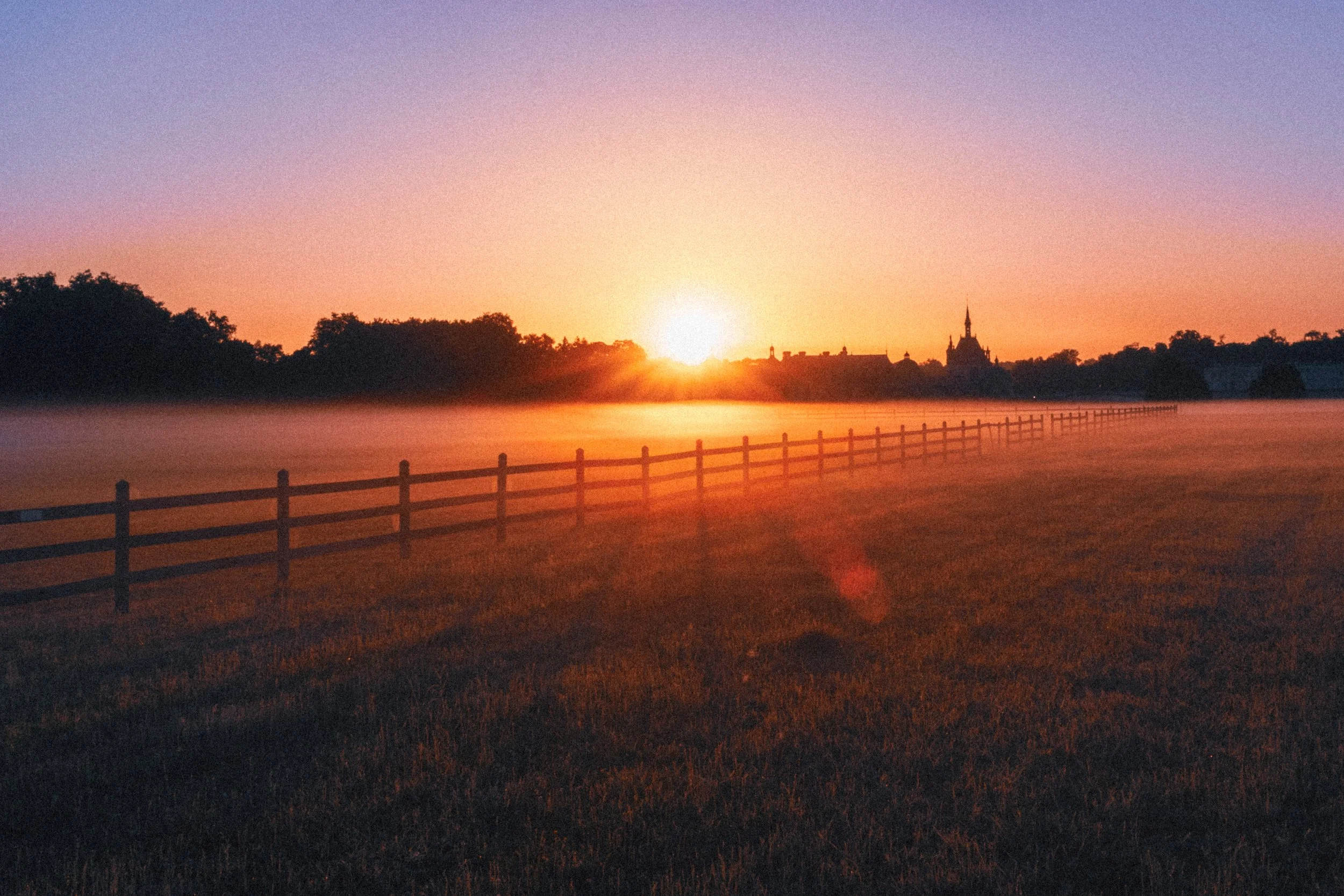 Morning Dew