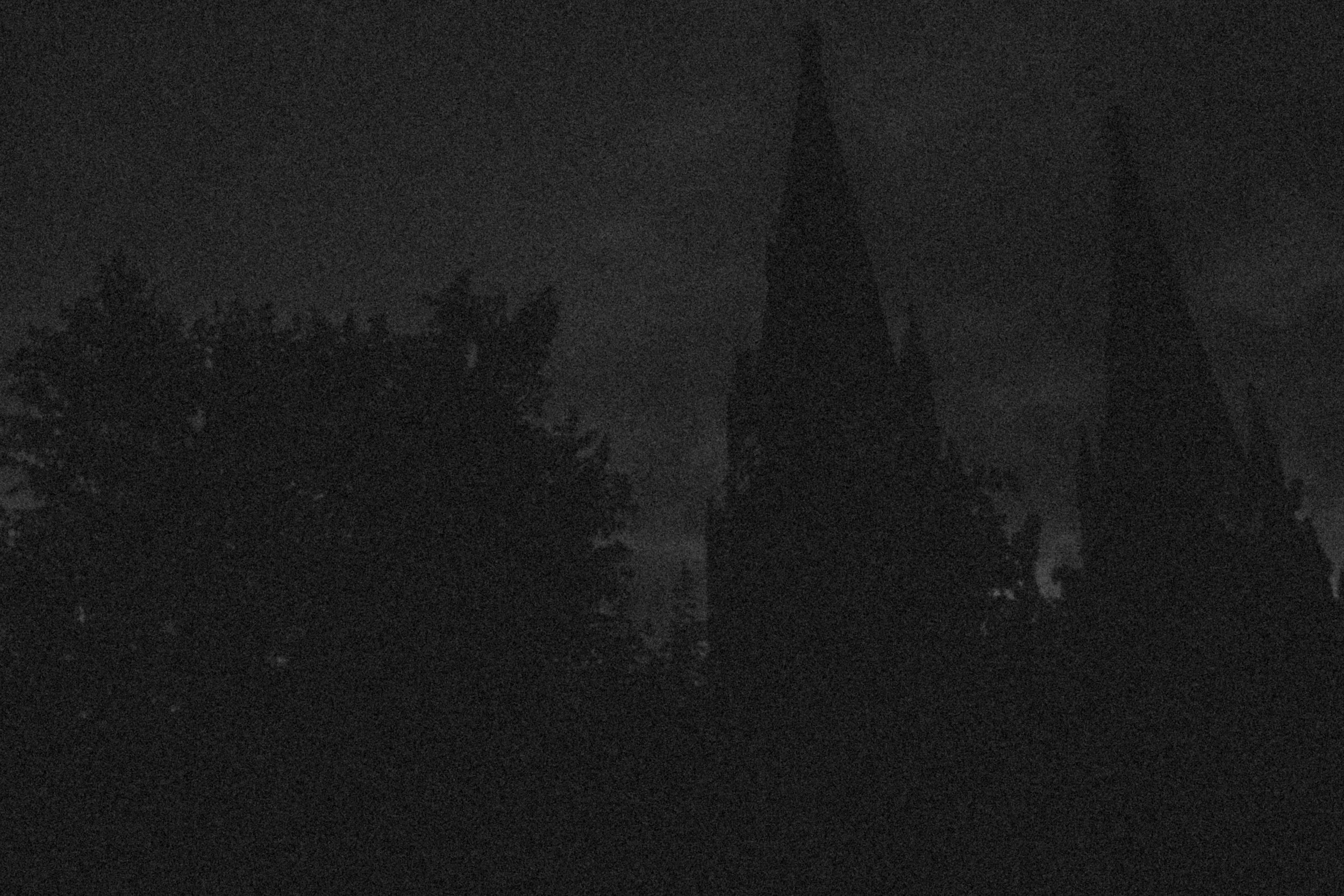 _DSF3373.jpg