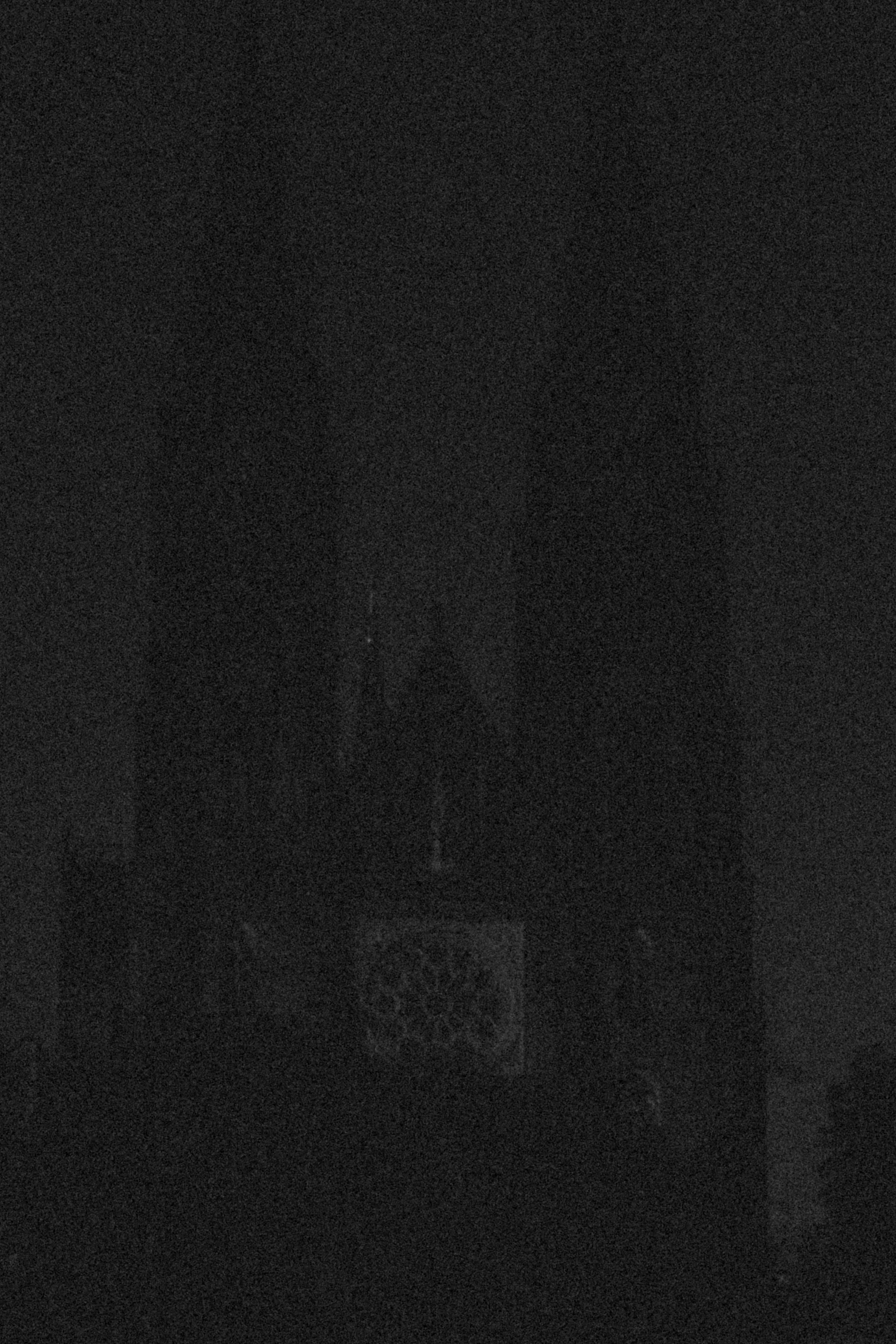 _DSF3368.jpg