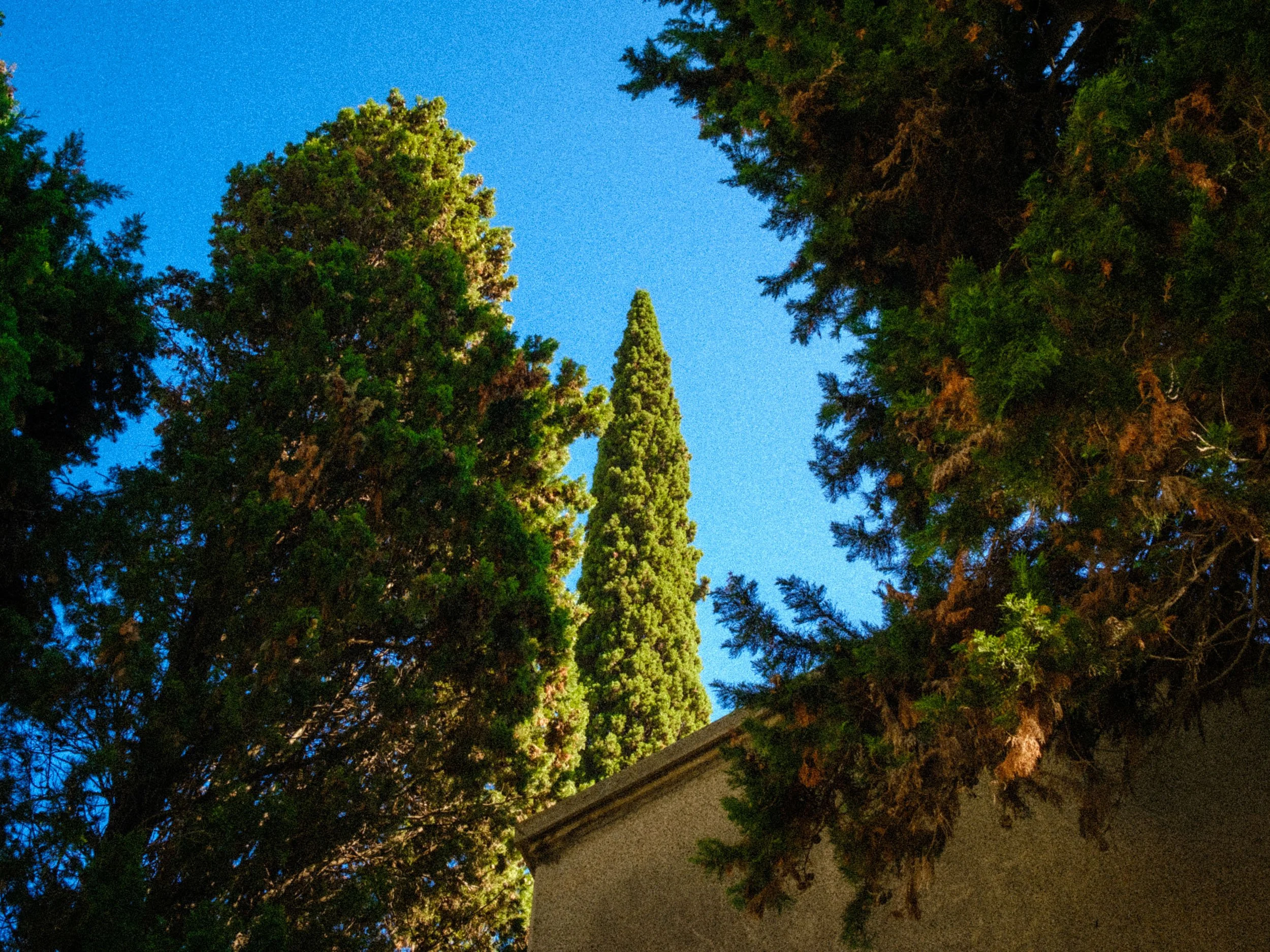 Ile des morts 1er version_8_1.jpg