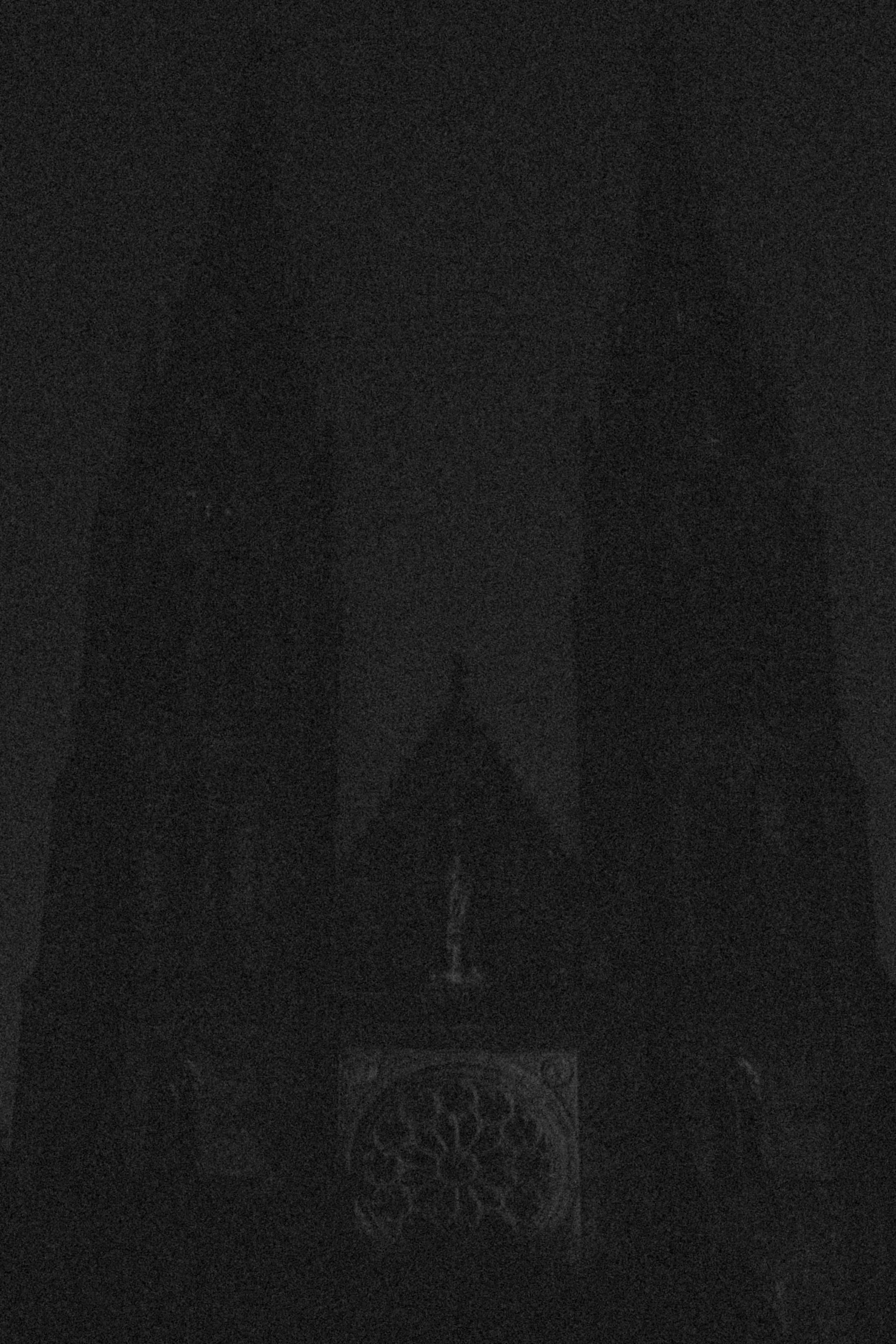 _DSF3369.jpg