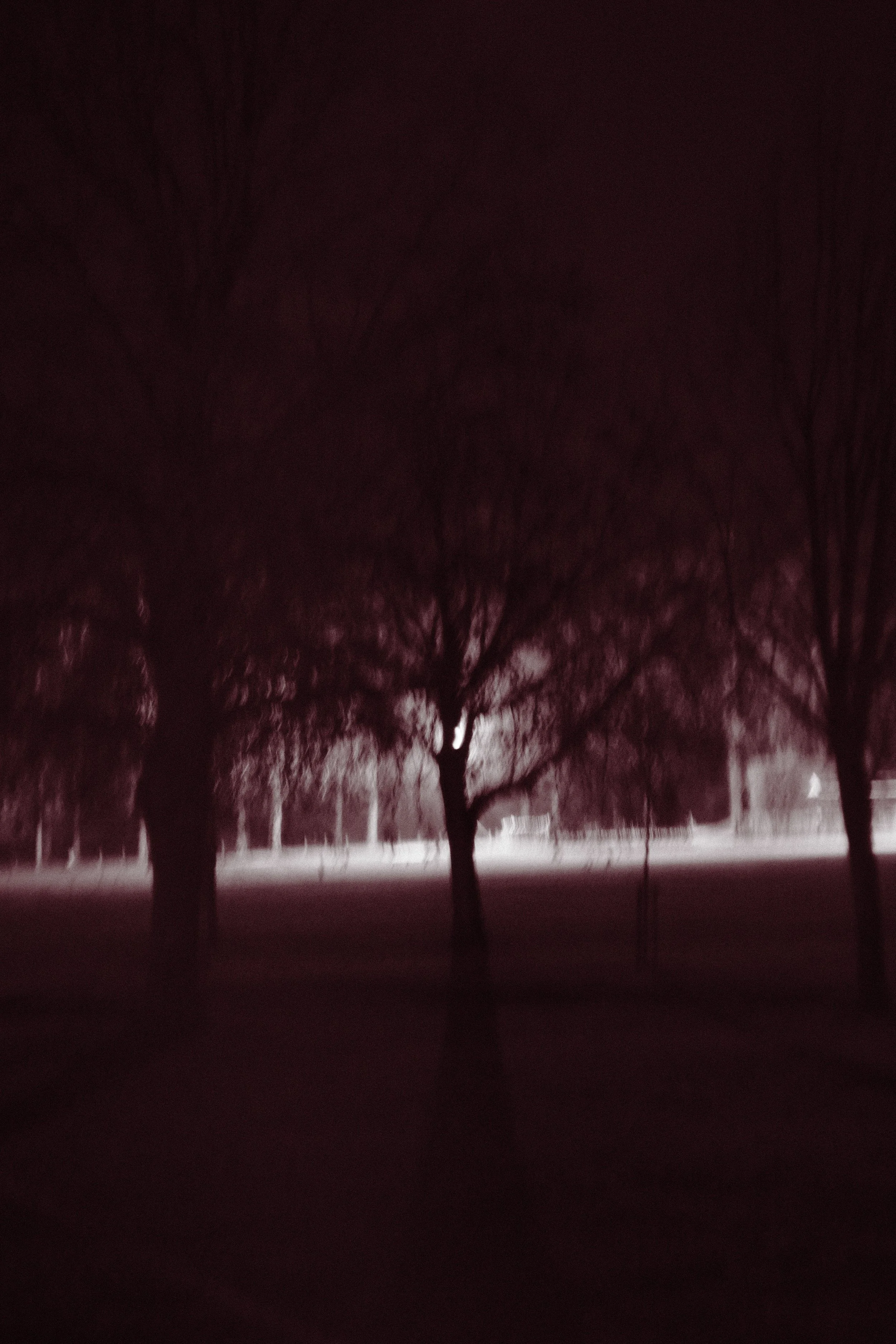 Red Dream_02.jpg