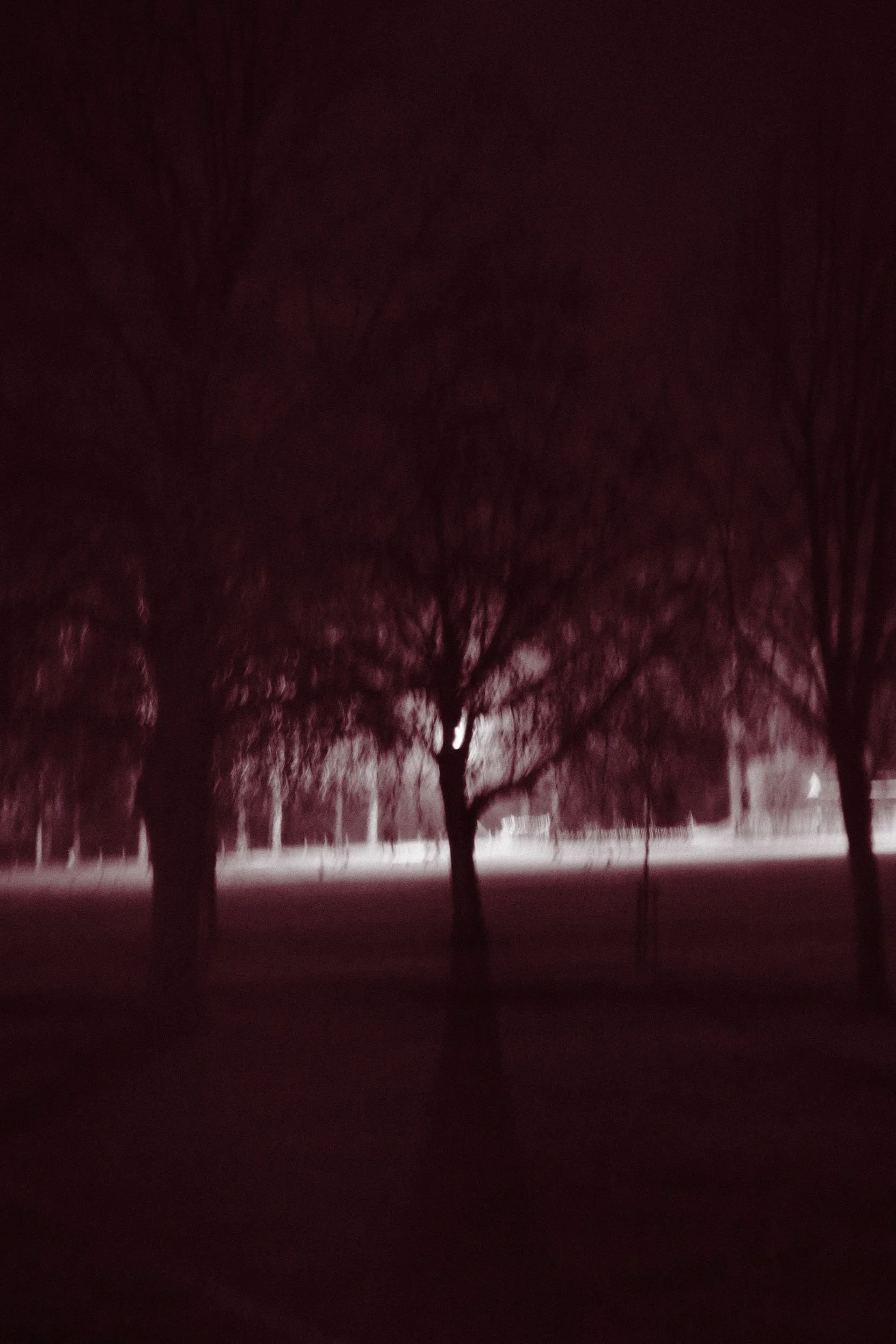 Red Dream_02.jpg