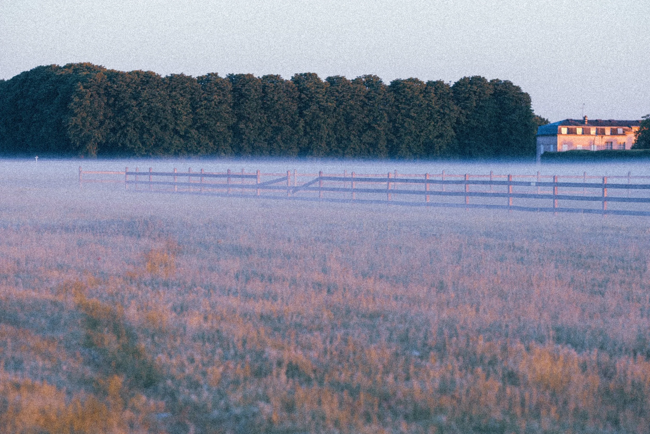 _DSF3044_1.jpg