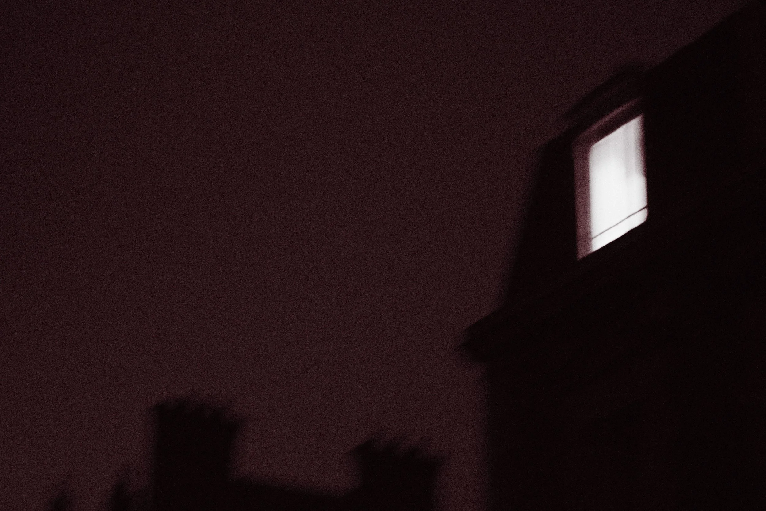 Red Dream_07.jpg