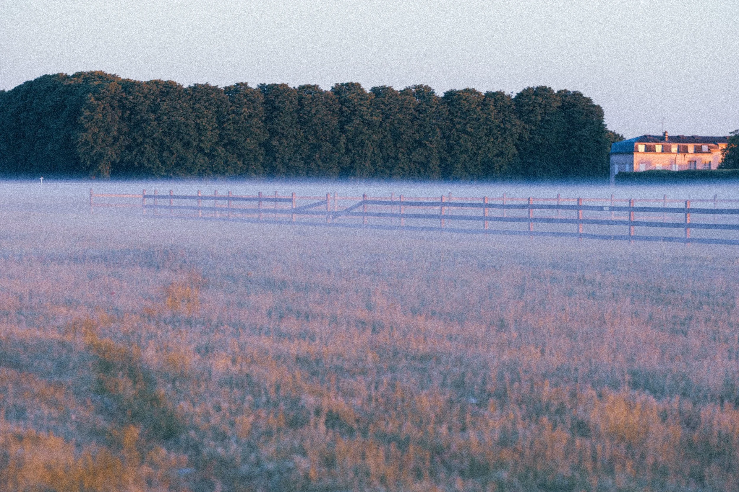 Morning dew_DSF3044_1_12.jpg