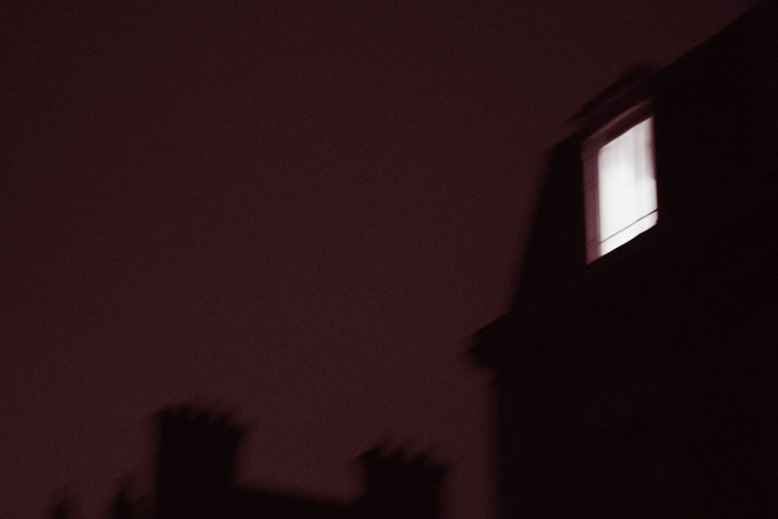 Red Dream_07.jpg