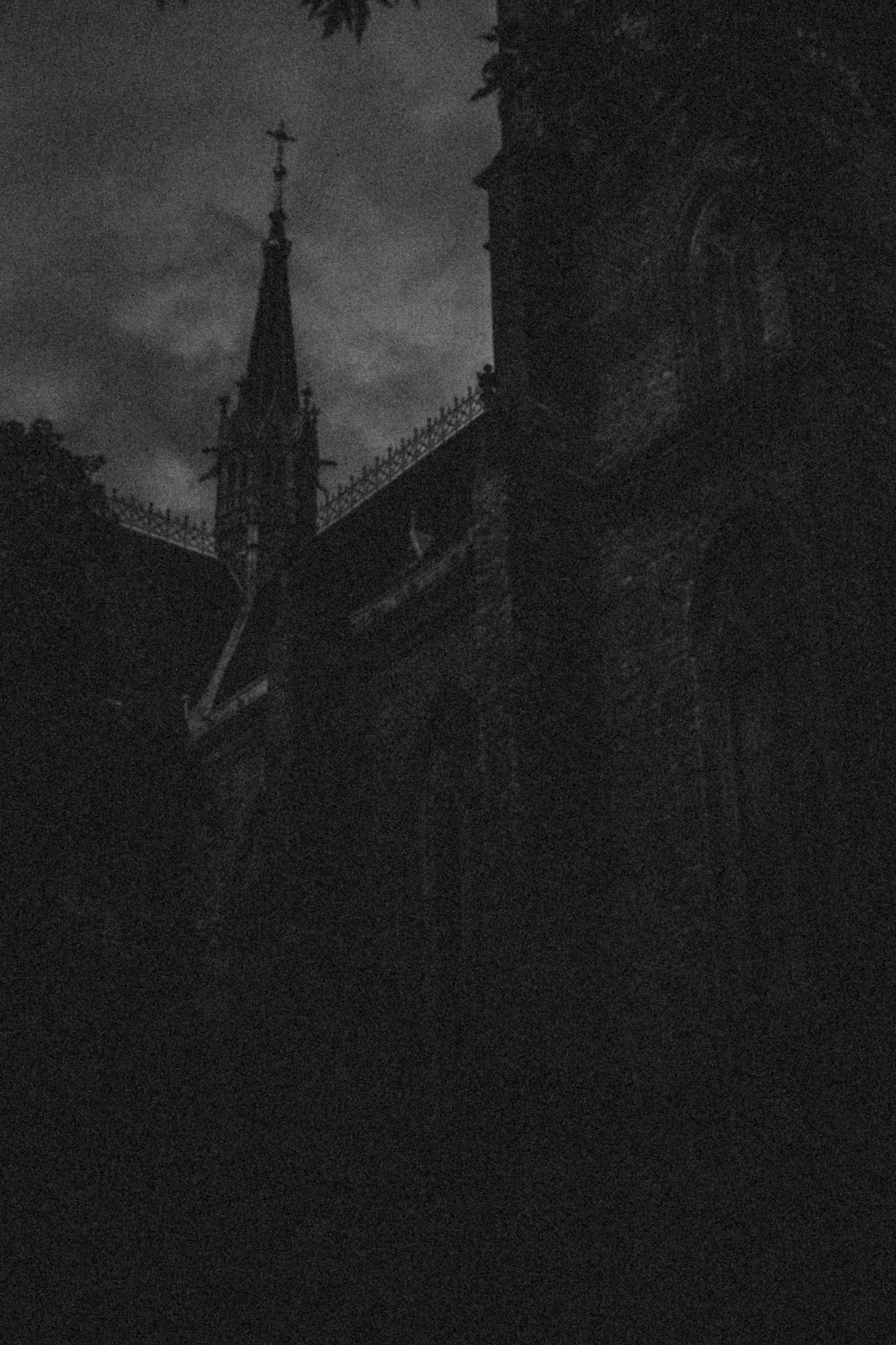 _DSF3374.jpg