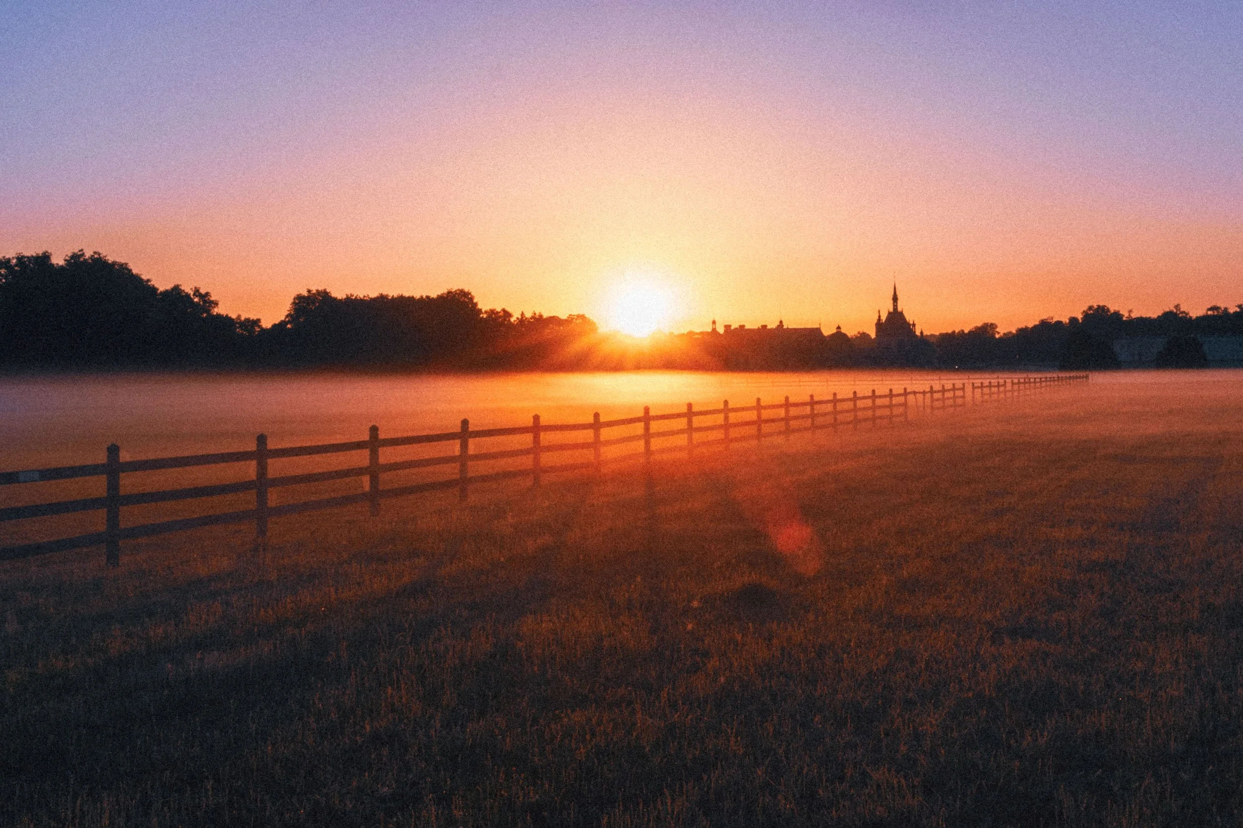 Morning dew_DSF4486_15.jpg