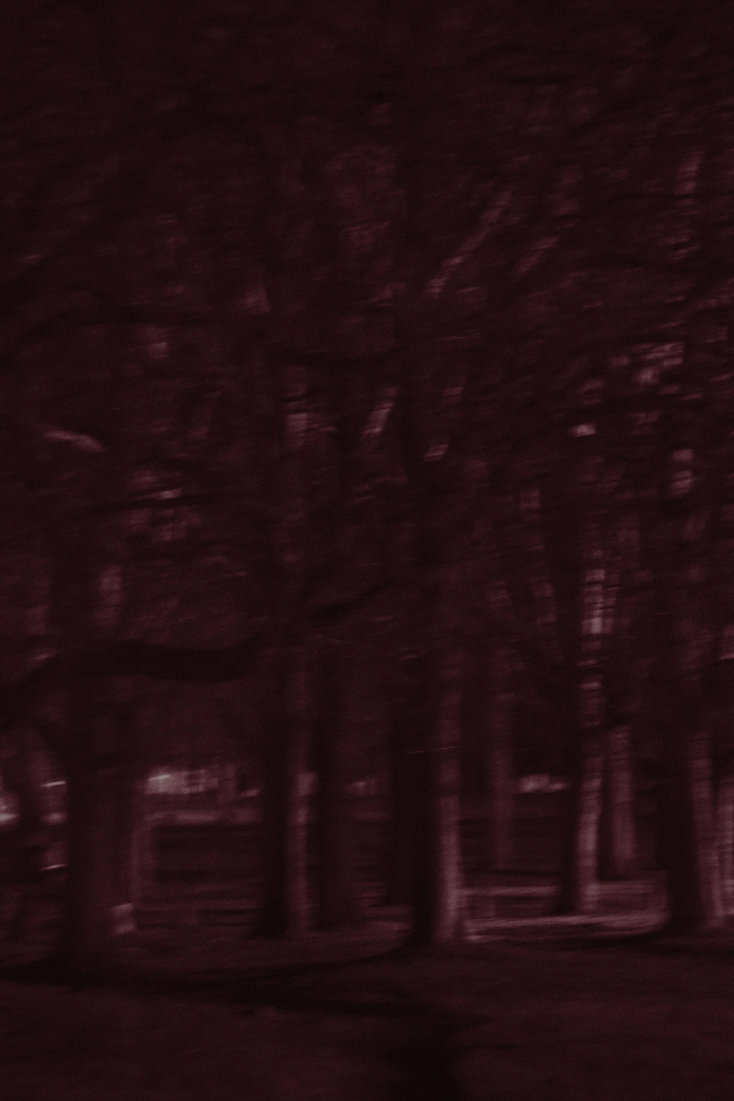 Red Dream_04.jpg