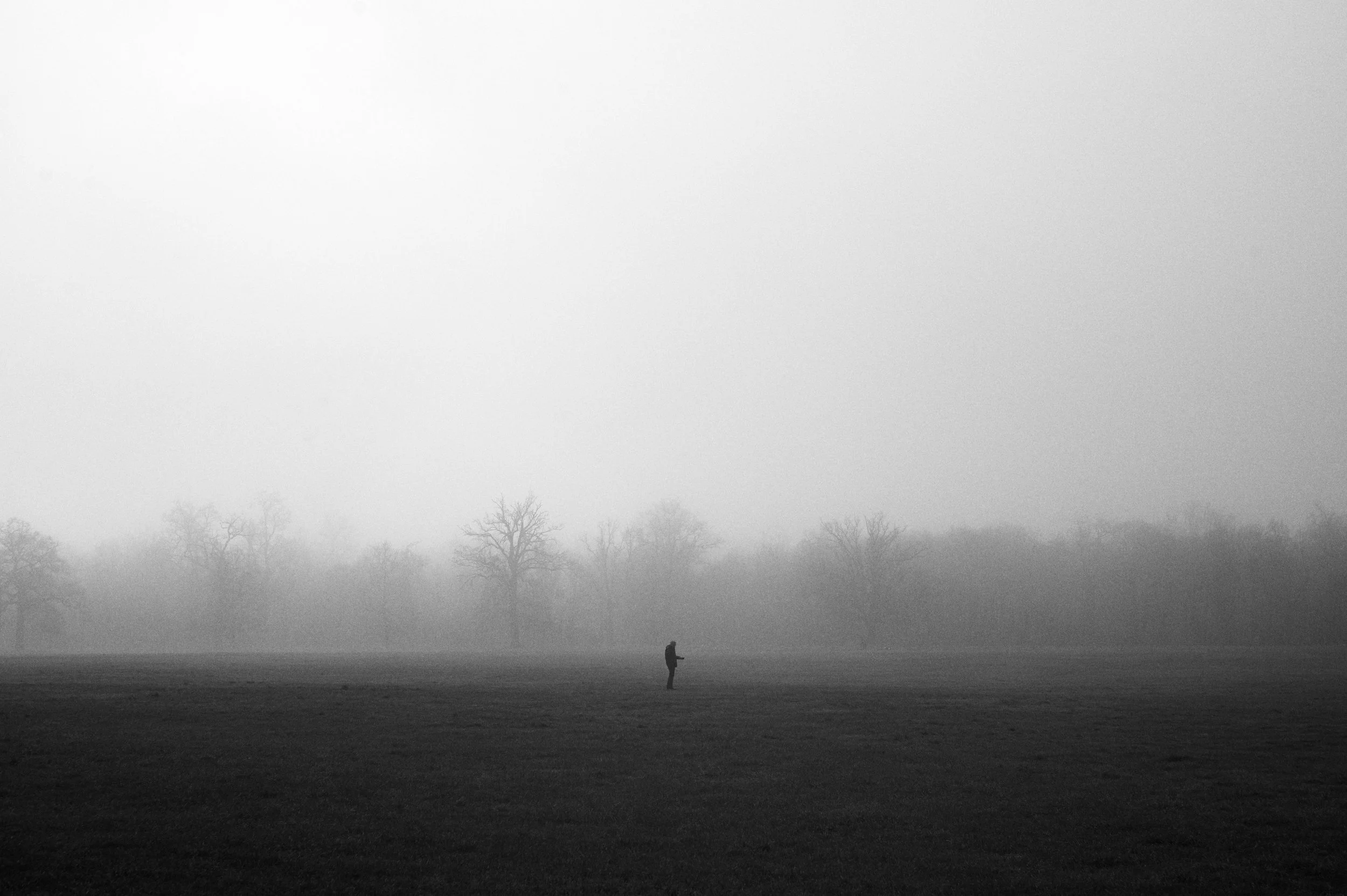_DSC0545.jpg