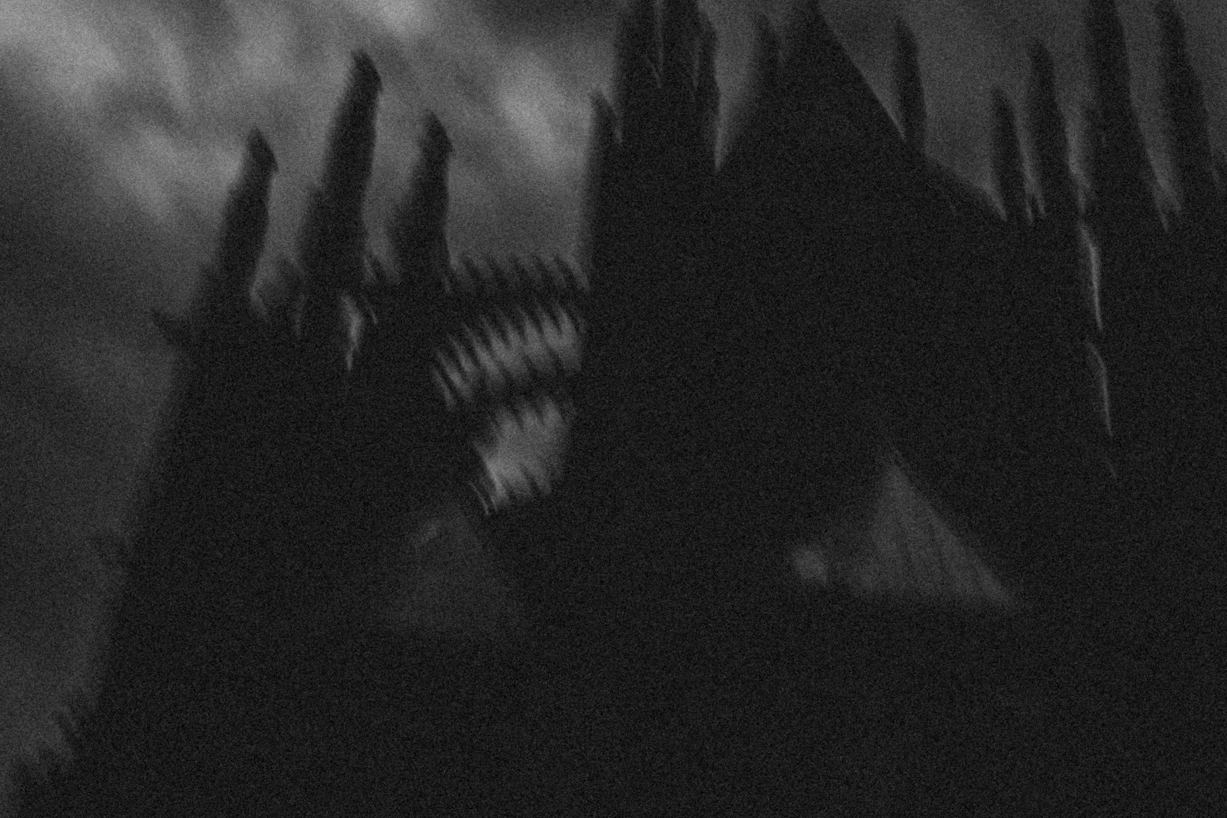 Black church_DSF3496_14.jpg