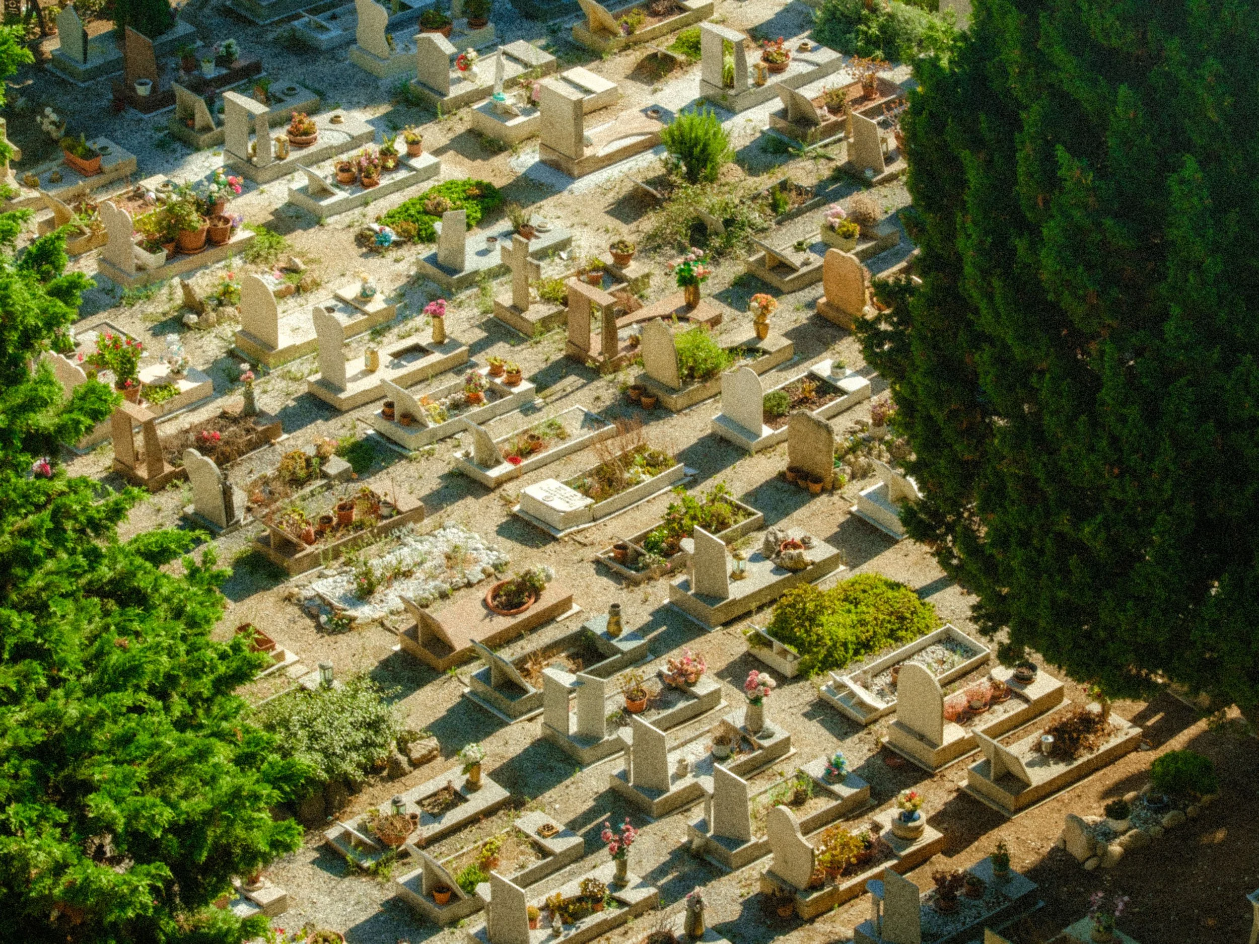 Ile des morts 1er version_22.jpg