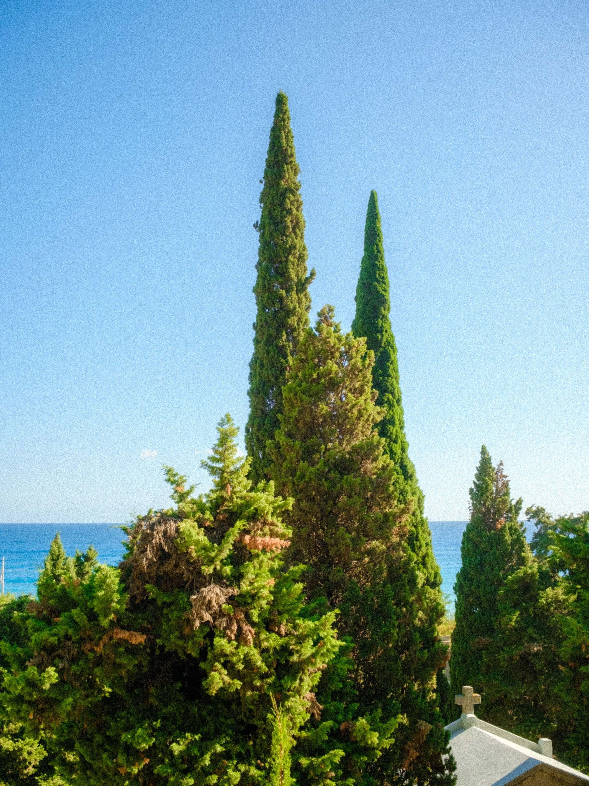 Ile des morts 1er version_7_1.jpg