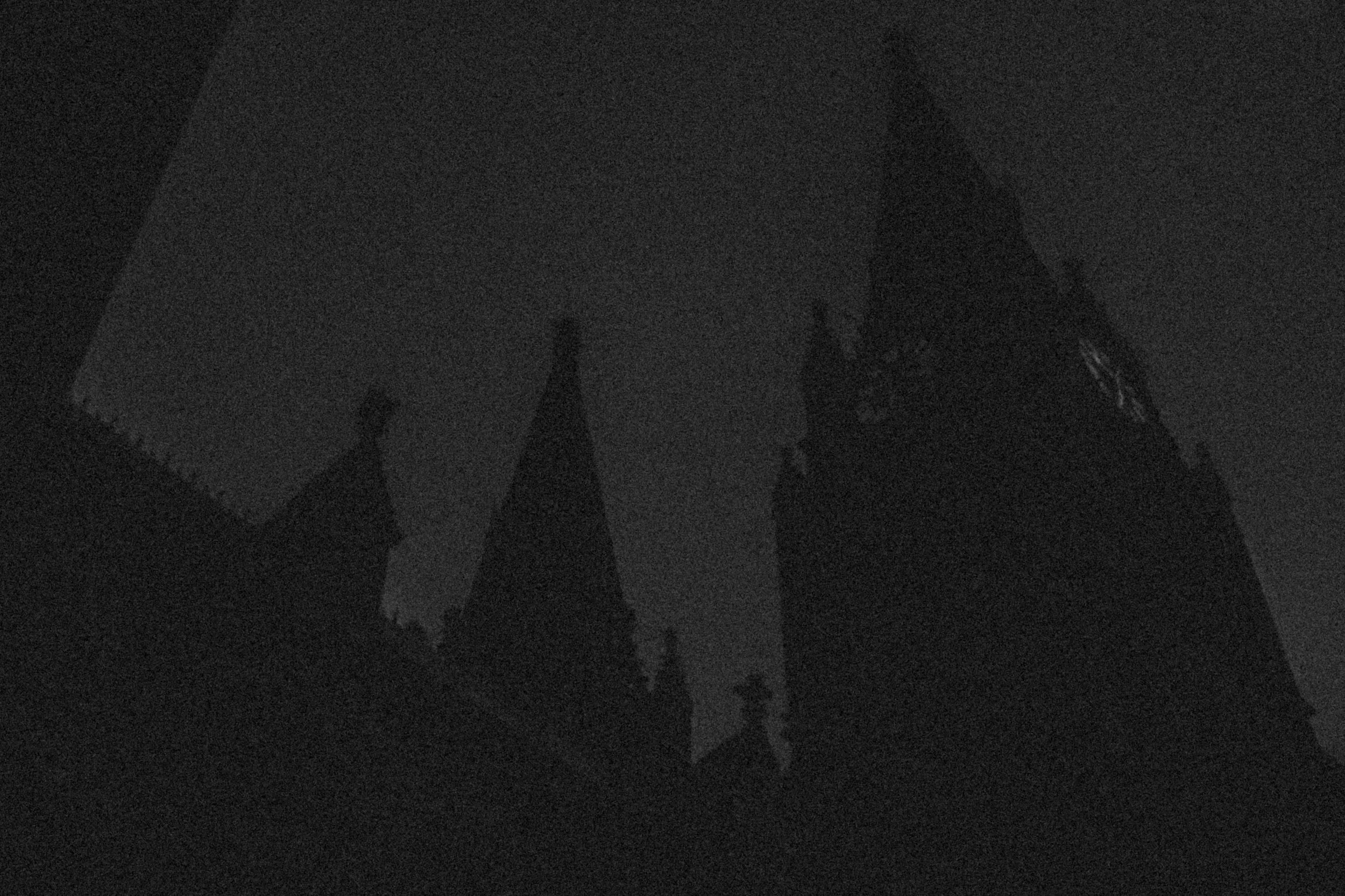 _DSF3377.jpg