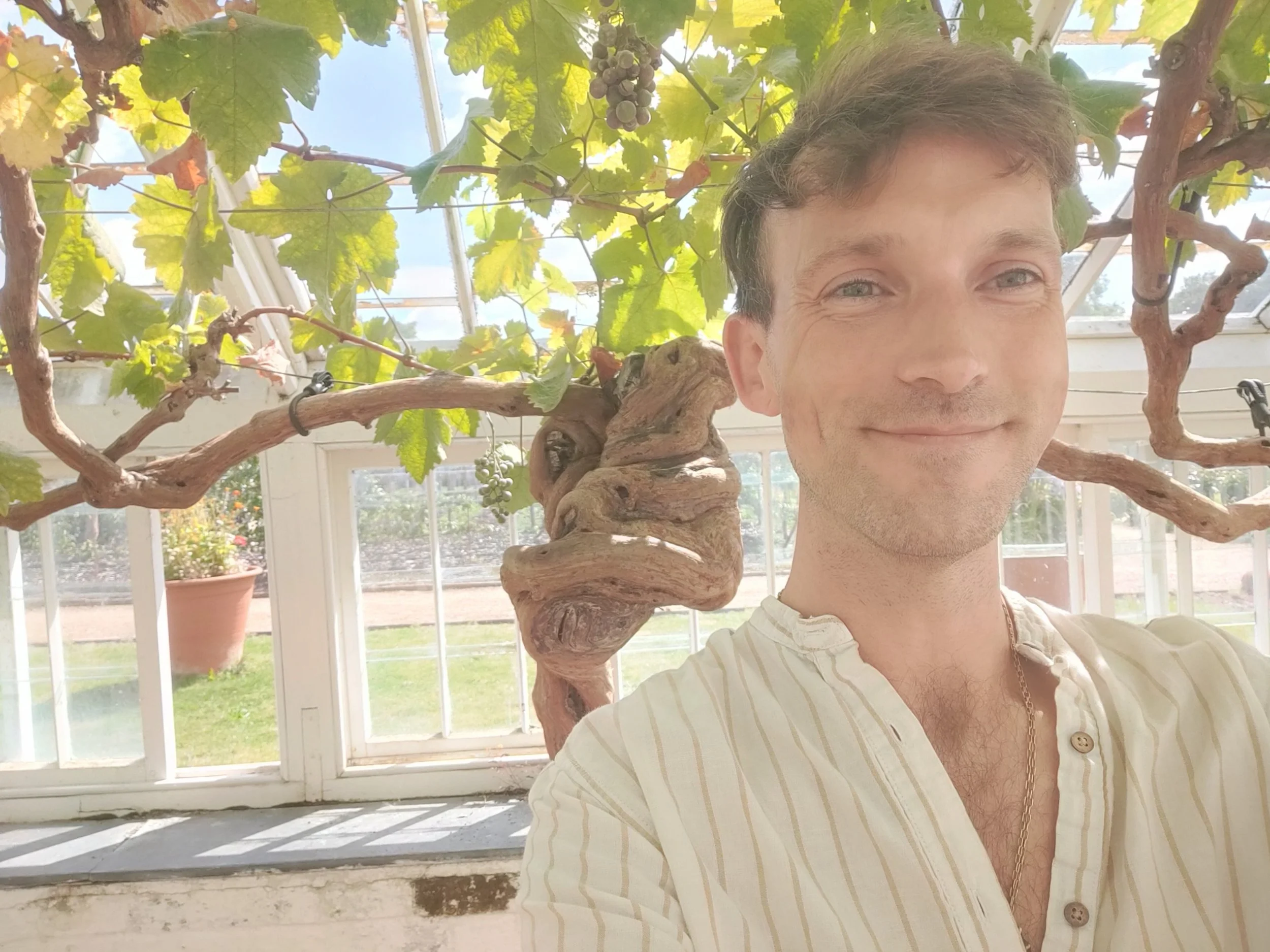 A man taking a selfie inside a greenhouse with a large grapevine behind him, featuring green leaves and grape clusters, with sunlight streaming through the windows. Therapy, psychotherapy and counselling.