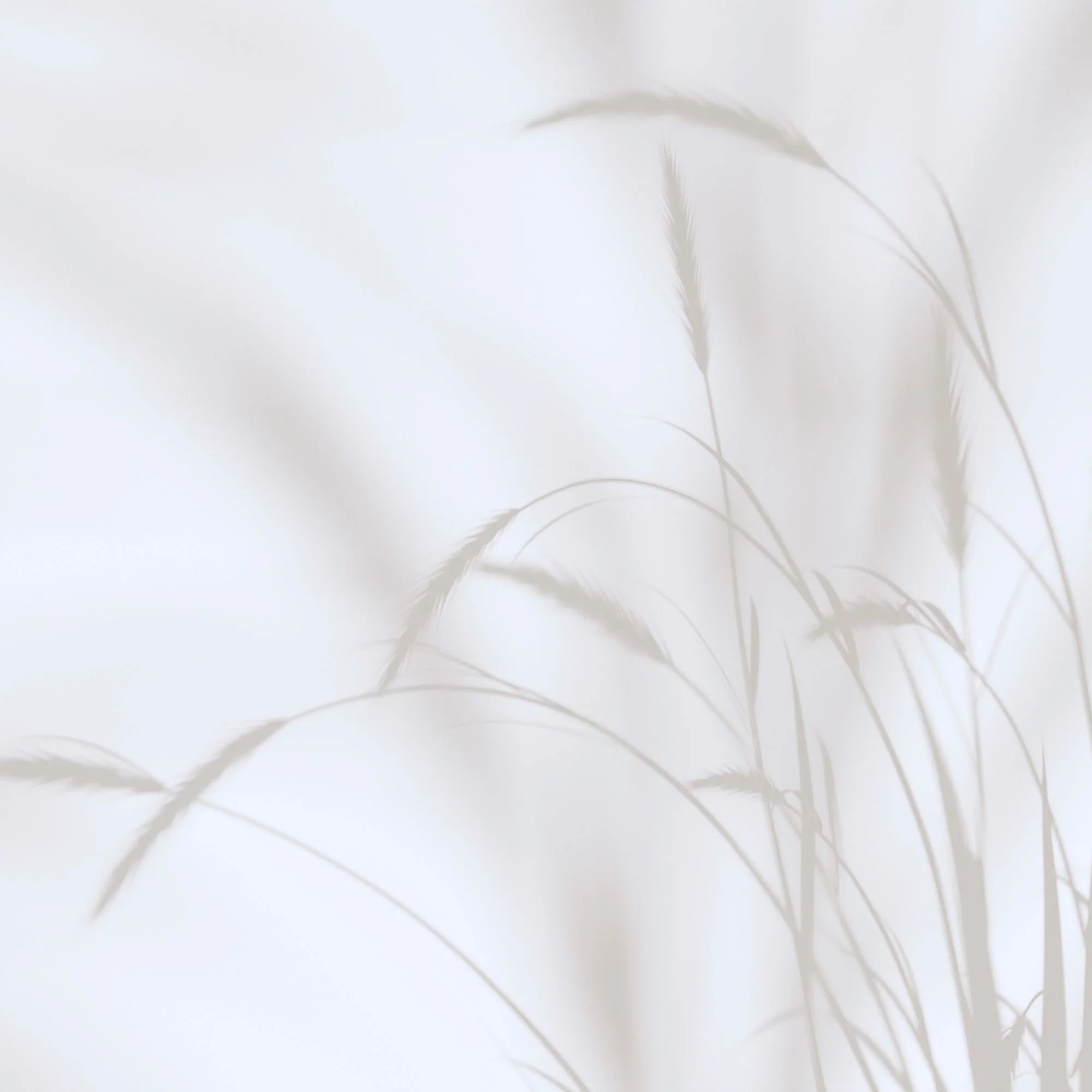 Anmeldelse fra en fornøyd kunde i lund boligutvikling