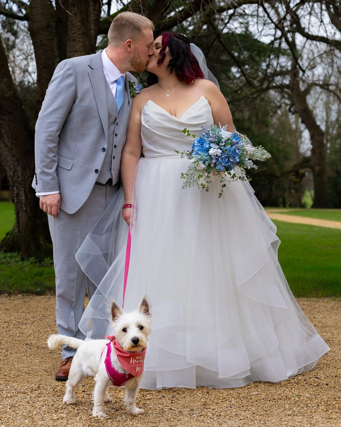 The bride, the groom and the guest of honour.

Natural wedding photography across Hertfordshire, London &amp; the South-East 📷

#DogsatWeddings 
#HertfordshireWeddings
#LondonWeddingPhotographer 
#UKWeddingPhotographer
#DocumentaryWeddingPhotog