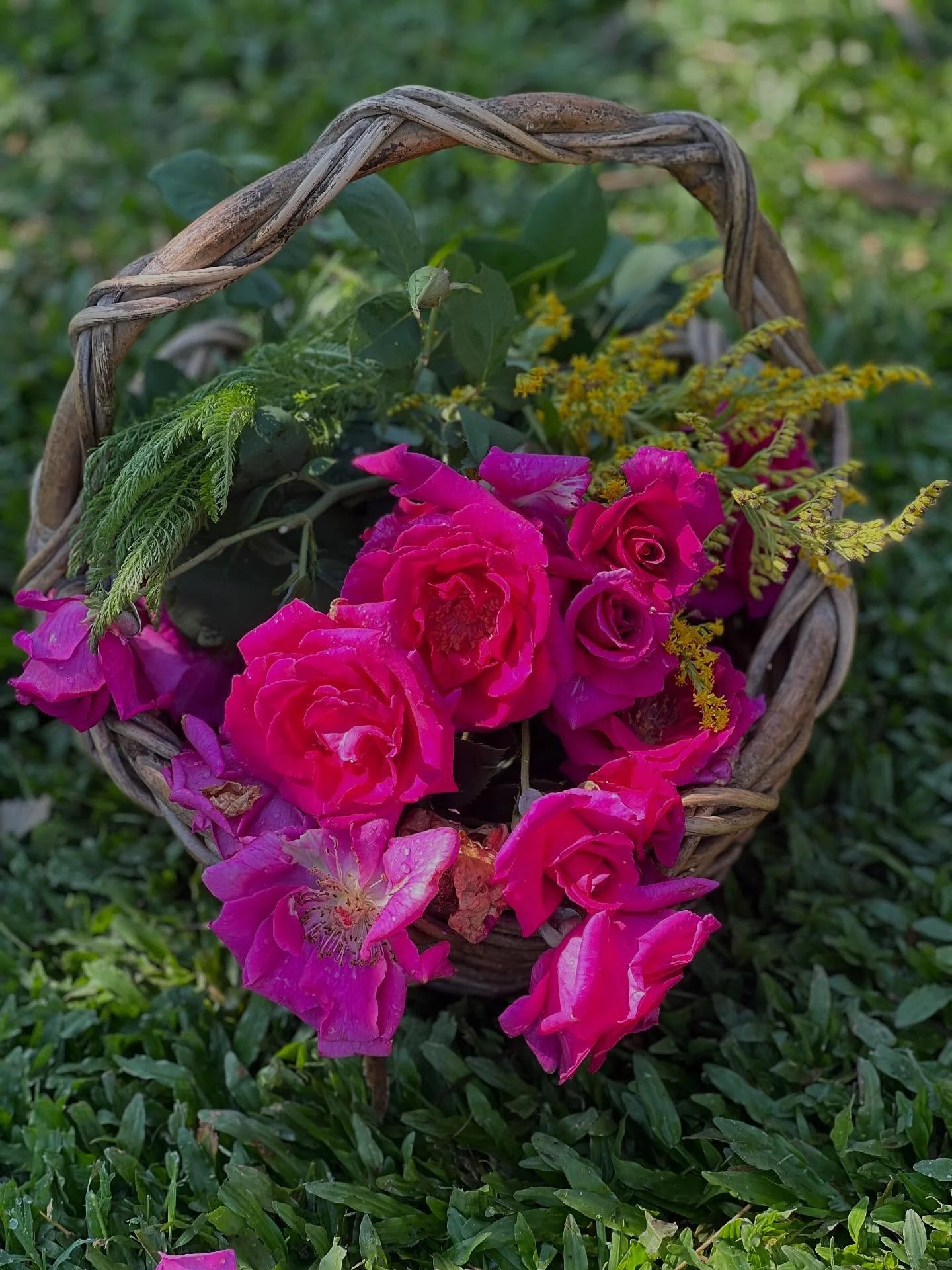 Gaia&rsquo;s Hearth - Herbal Alchemy , Womb Care and Nature immersion 🌹 Sat 29th November - 9.30 - 5  Join Kathy and Stephy for a gentle, hands-on immersion into feminine and earth-based self-care &mdash; where herbal alchemy, self care massage, and