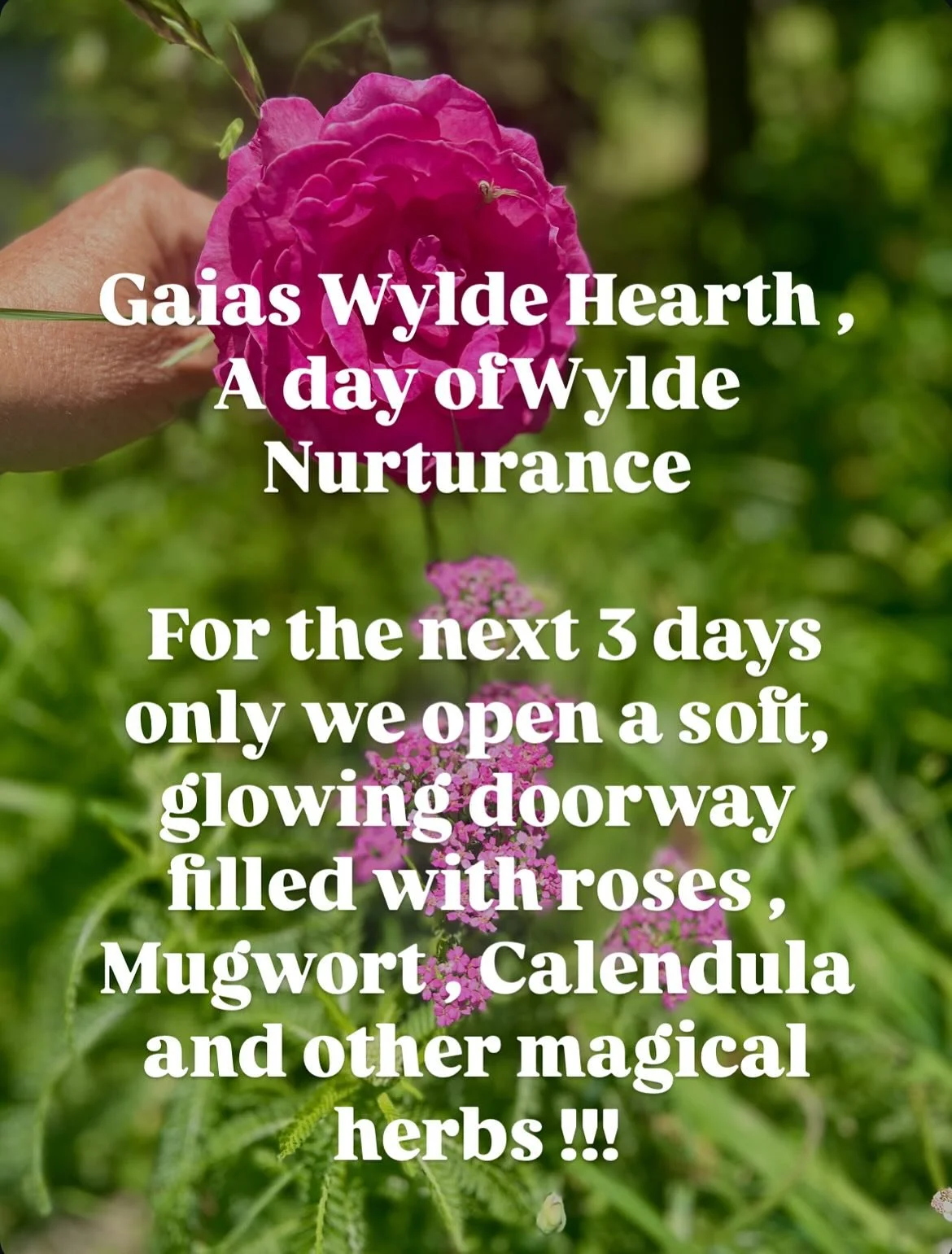 For the next 3 days only we open a soft, glowing doorway filled with roses , Mugwort , Calendula and other magical herbs !!! 

for those feeling the pull to be nourished, tended, and returned to themselves. 🌙💗

Two women for $222
&mdash; $111 each 