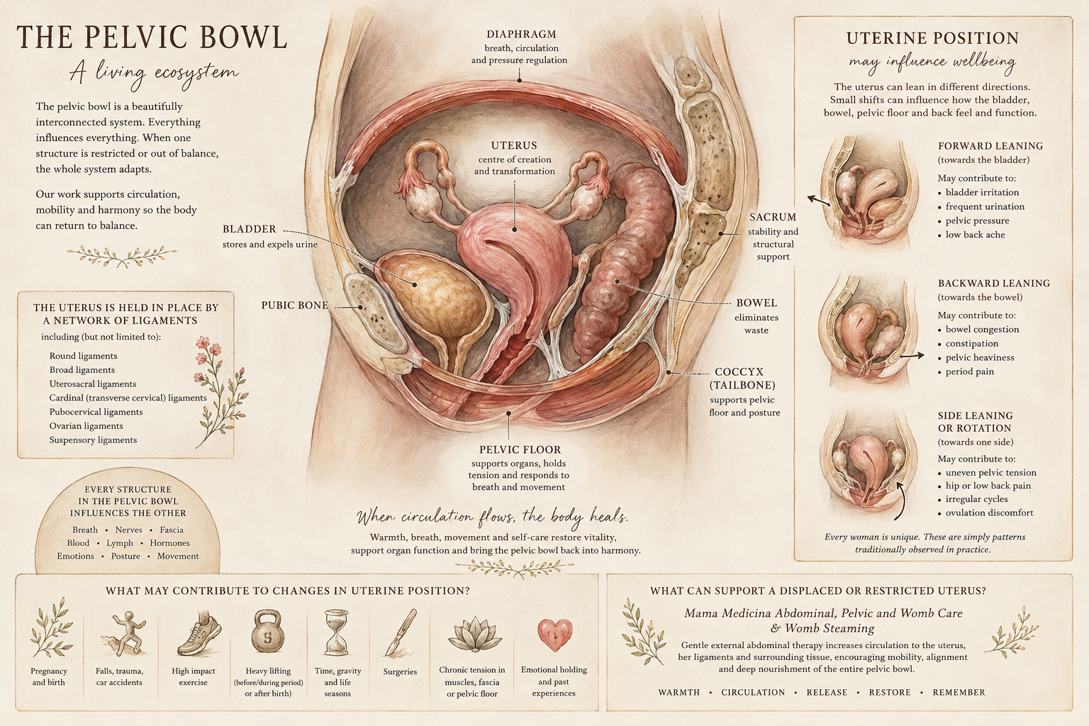 Understanding Uterine Position