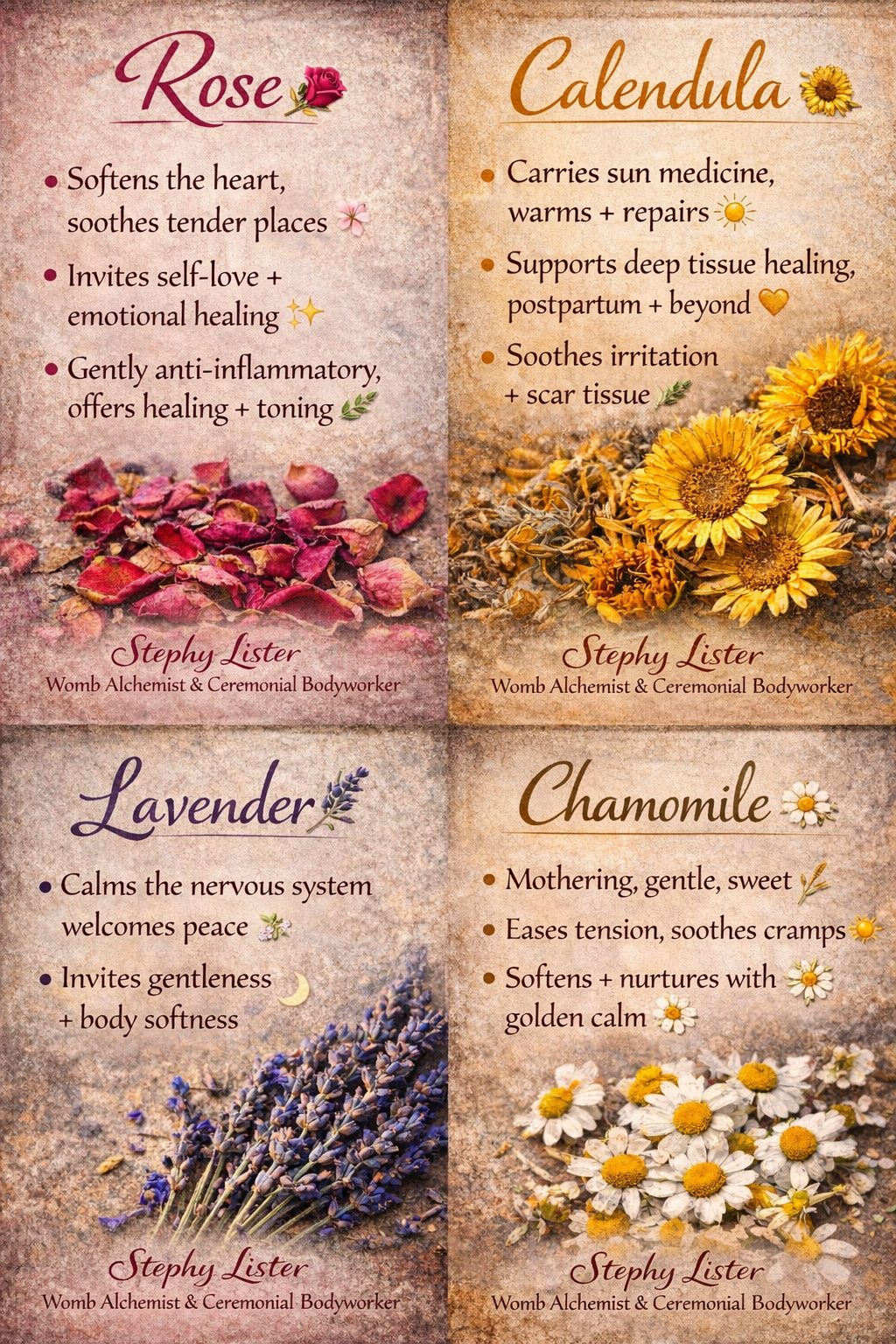 d44a7c33-32e4-4dc9-8b48-7f16c51f6d58womb herbs .png