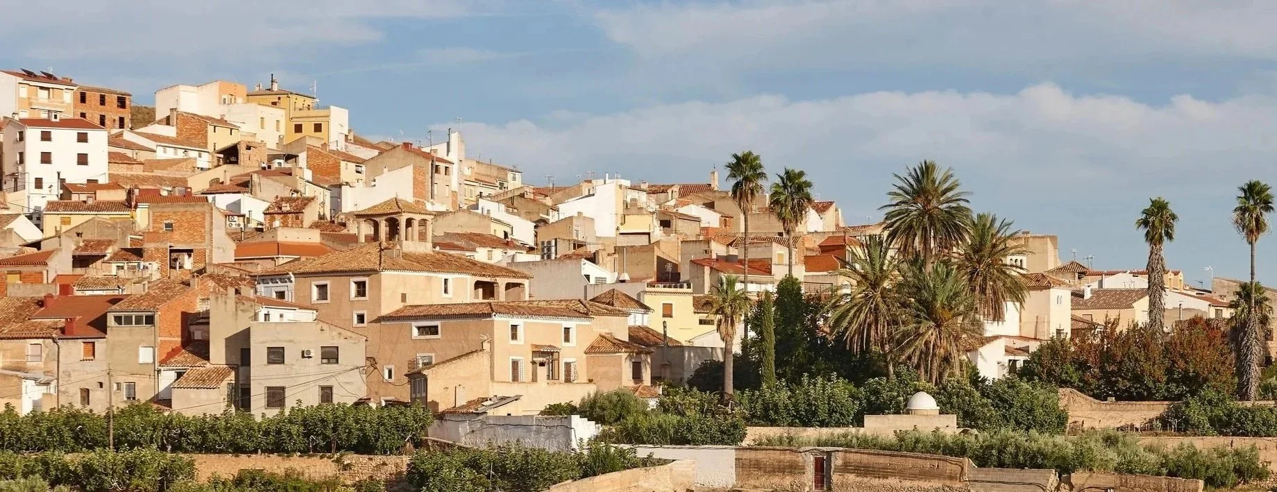 Hilly town with tightly packed houses in various shades of beige and white, with red-tiled roofs, tall palm trees, and a partly cloudy sky.