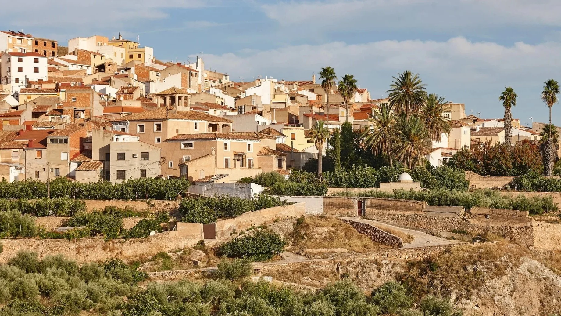 Hilly landscape with tightly packed houses with terracotta roofs, palm trees, green vegetation, and a cloudy sky.