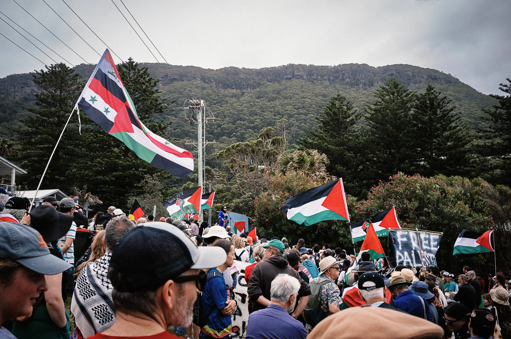 Sea_Cliff_Palestine_Rally-01.jpg