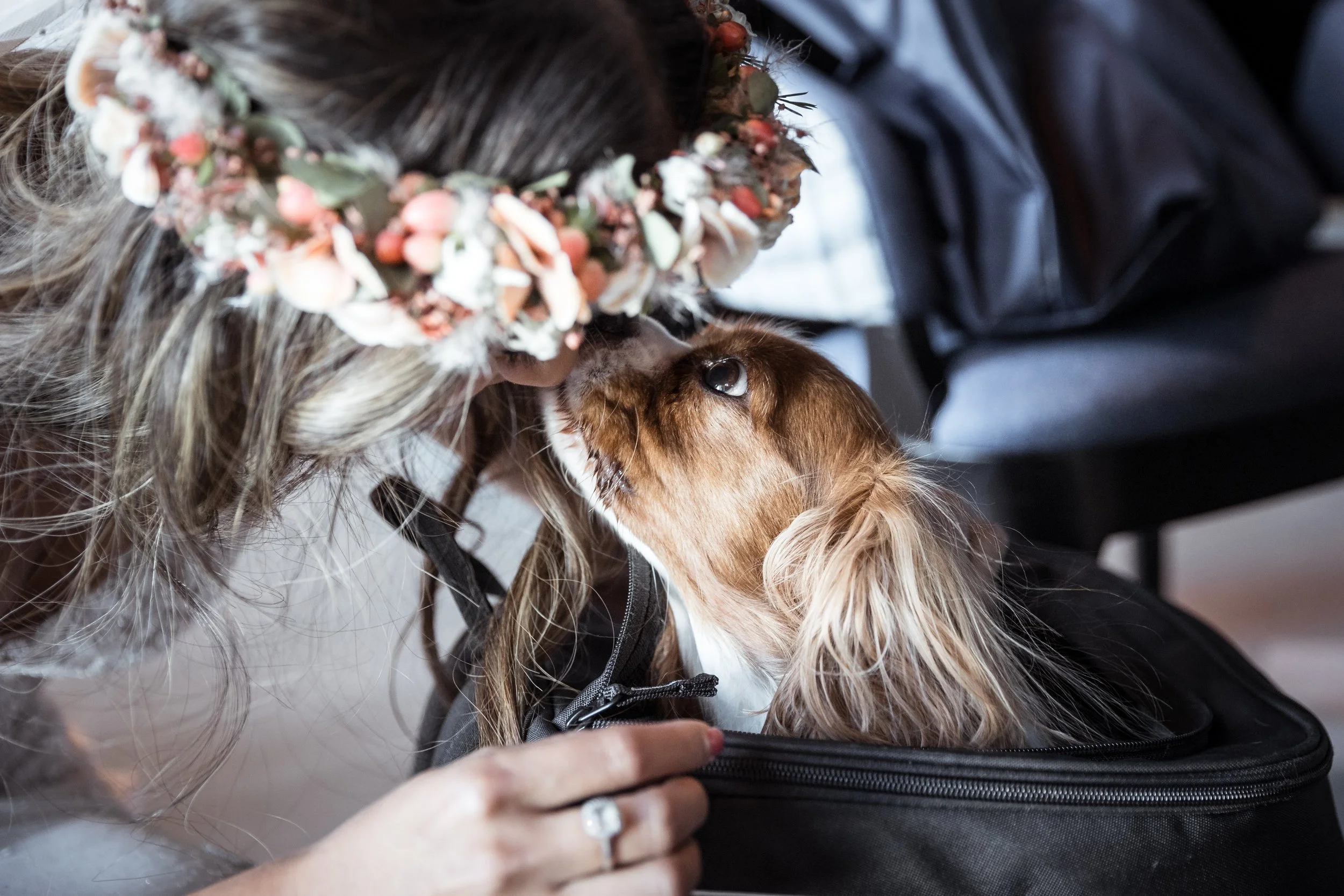 A person wearing a floral headband with a mix of dried flowers and greenery, holding and kissing a golden retriever dog with long, wavy fur, in an indoor setting.