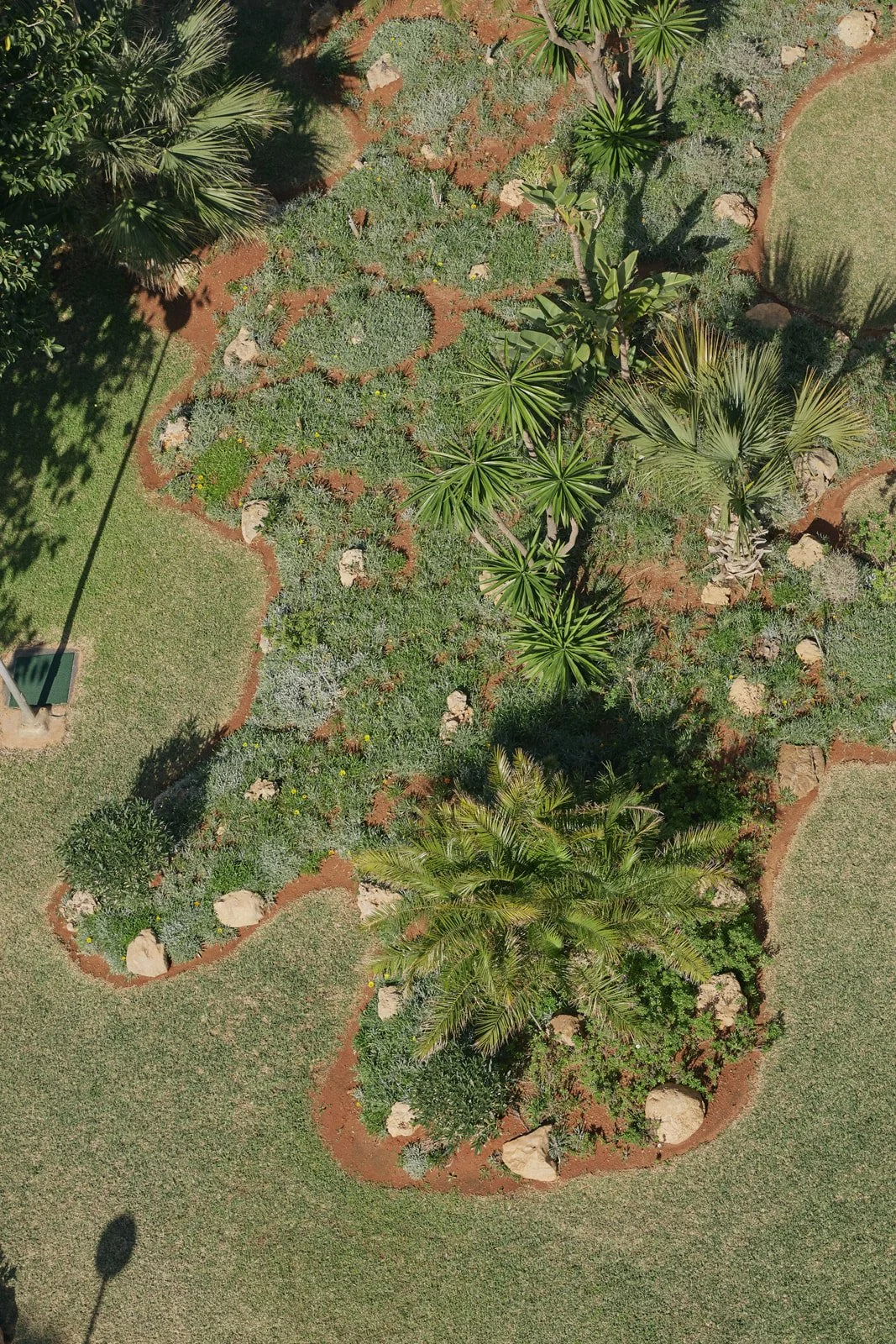 Studio Amancaes-IDP_7096.jpg