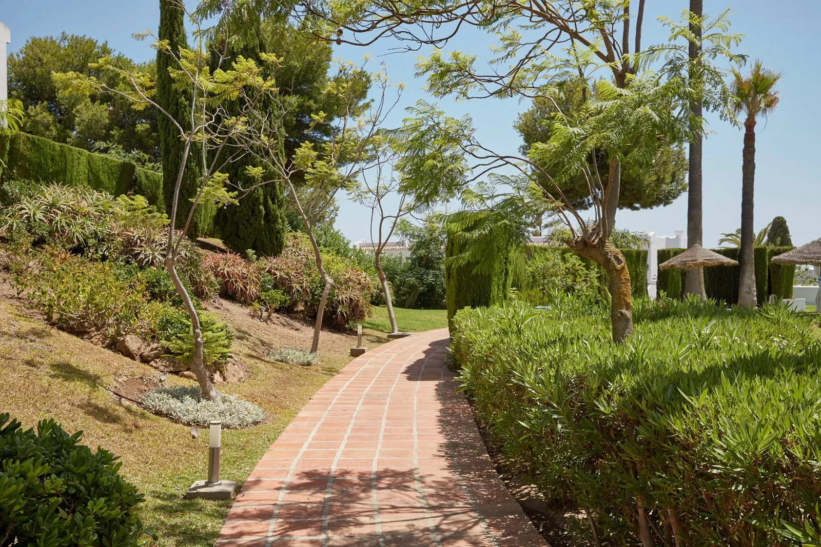 Serneholt_Miraflores apart-IDP_8913.jpg