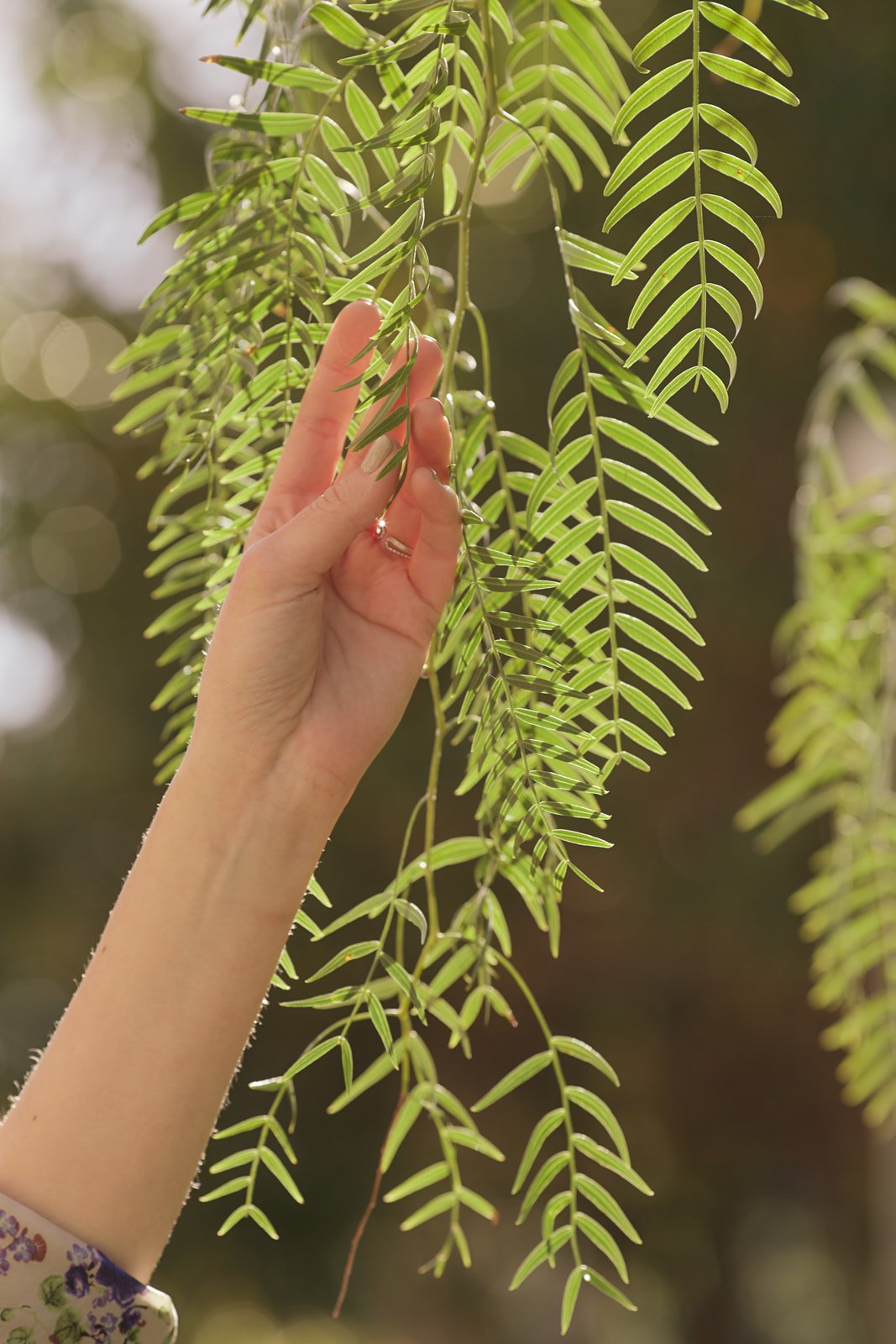 Studio Amancaes-IDP_7489.jpg