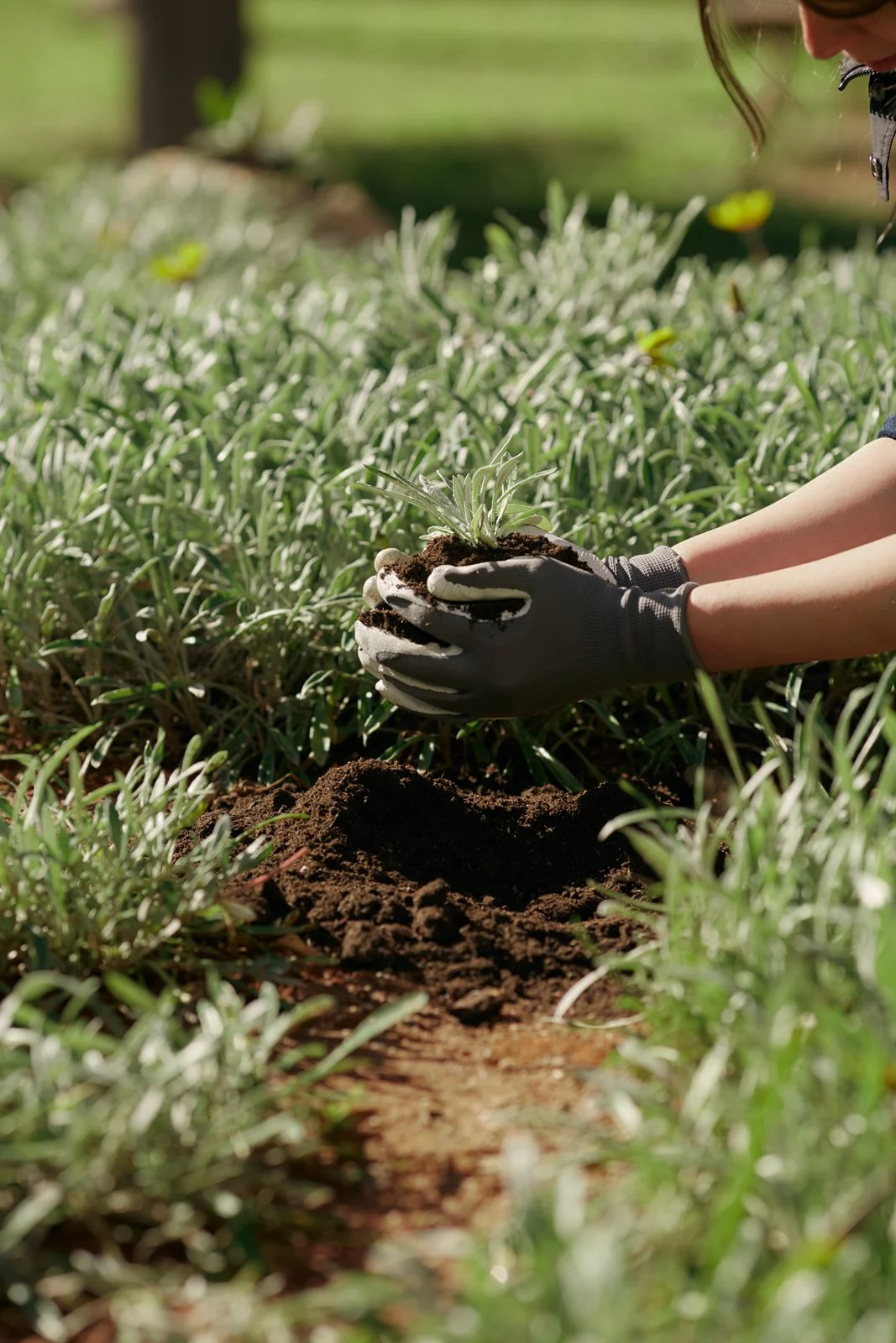 Studio Amancaes-IDP_7185 1.jpg