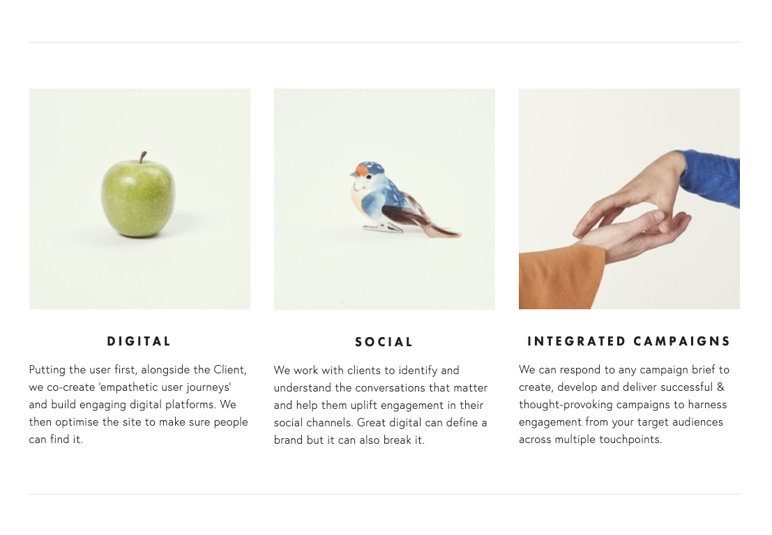 Braegen website_iurdanaphoto.png