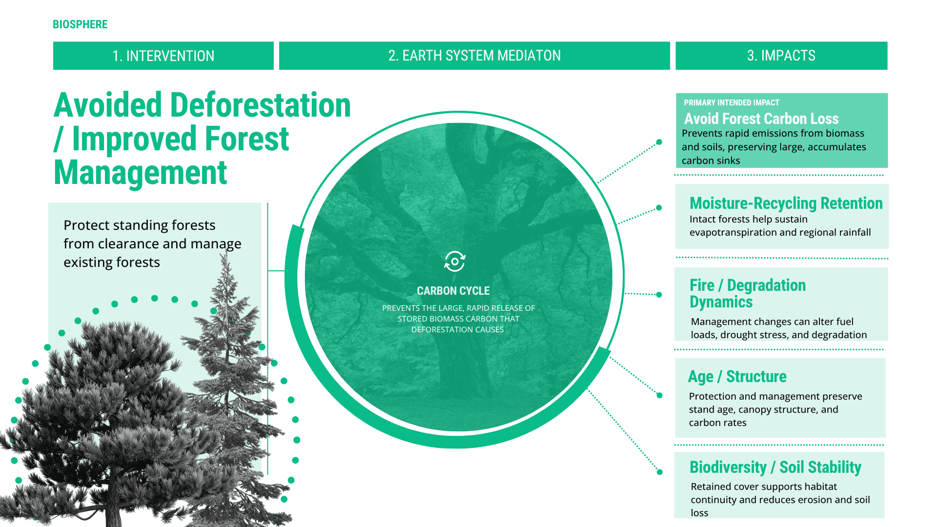 Avoided Deforestation  Improved Forest Management.png