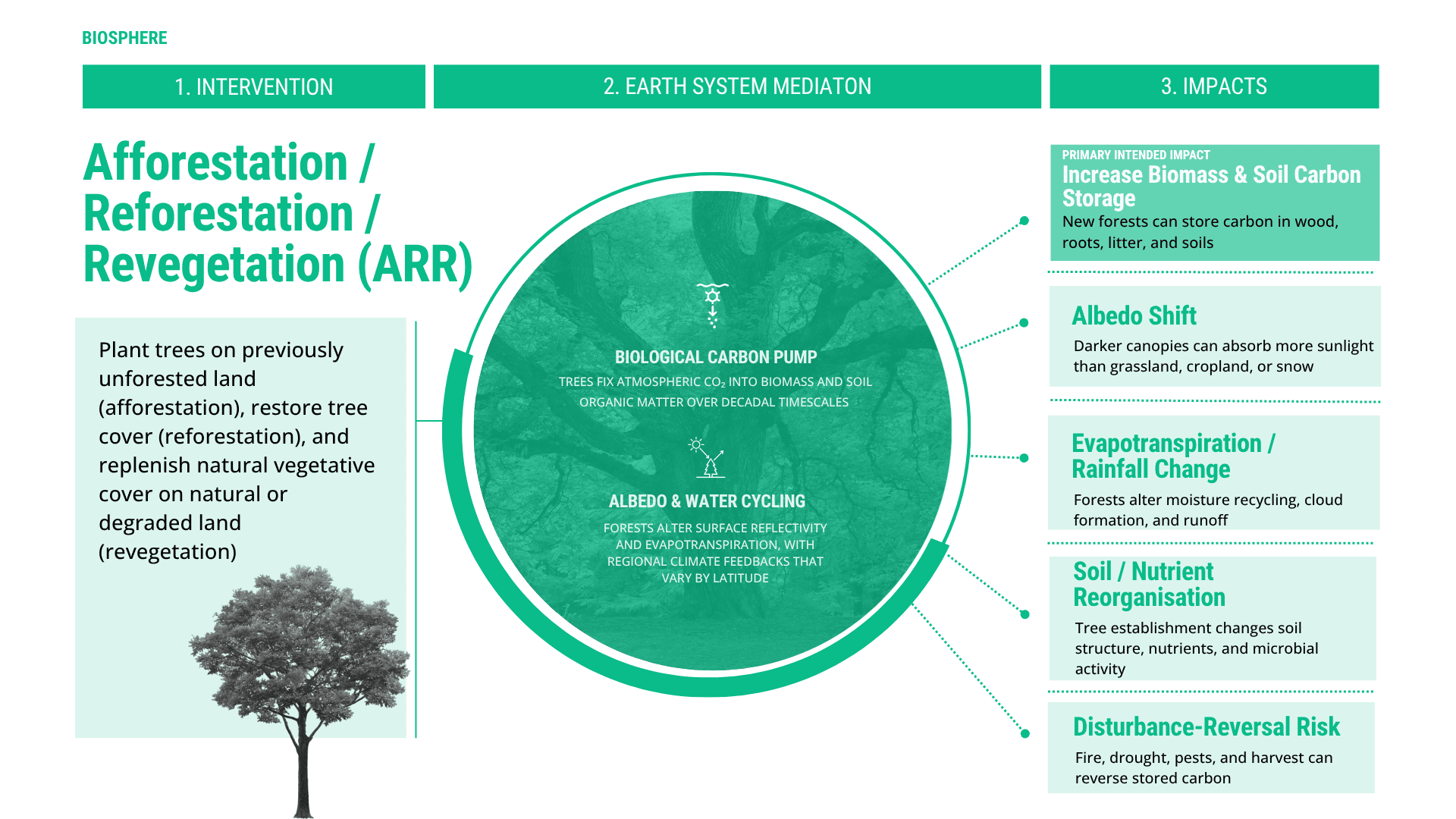 Afforestation  Reforestation  Revegetation (ARR).png