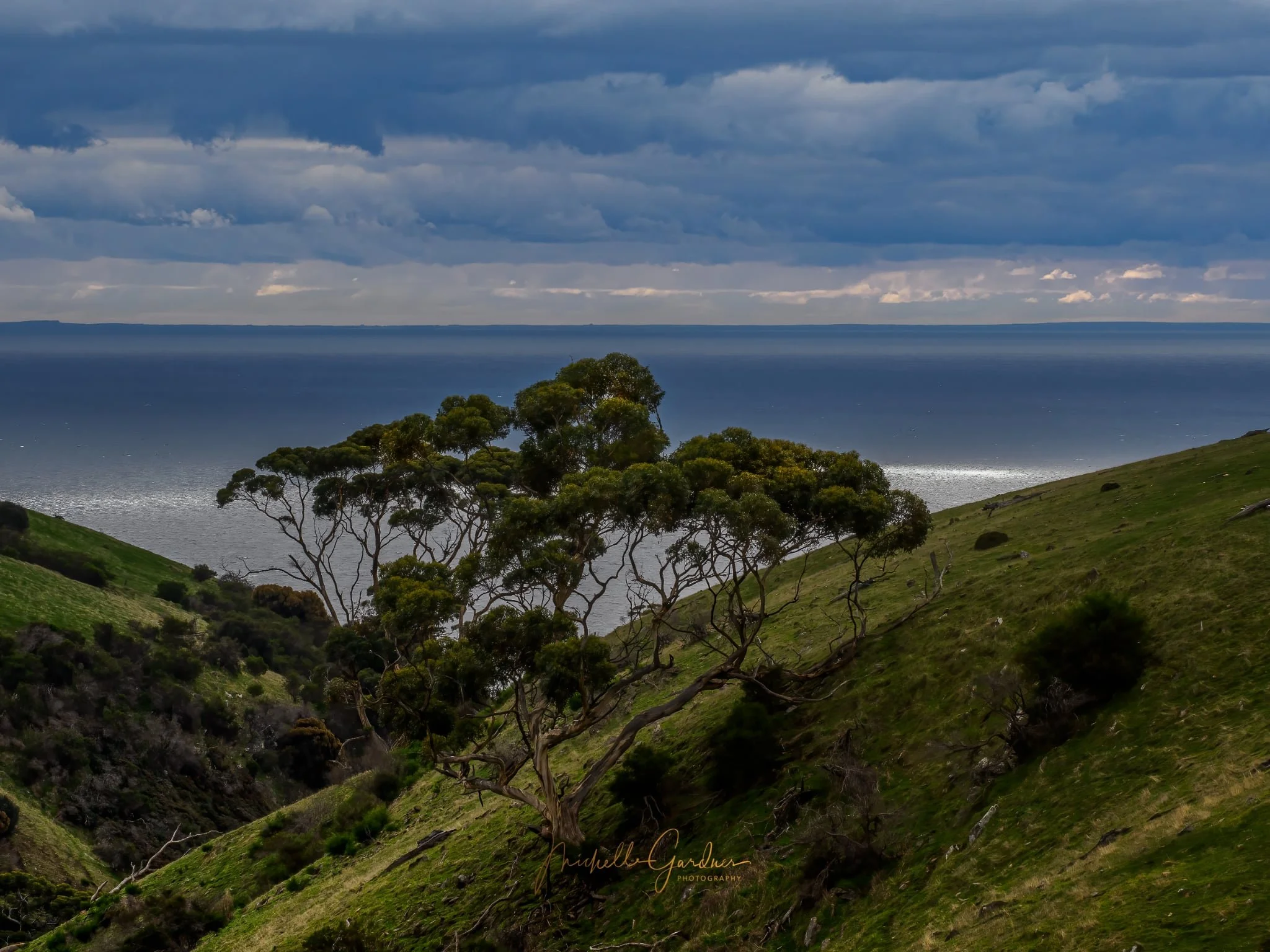 M Gardiner - steep gully with mature gum