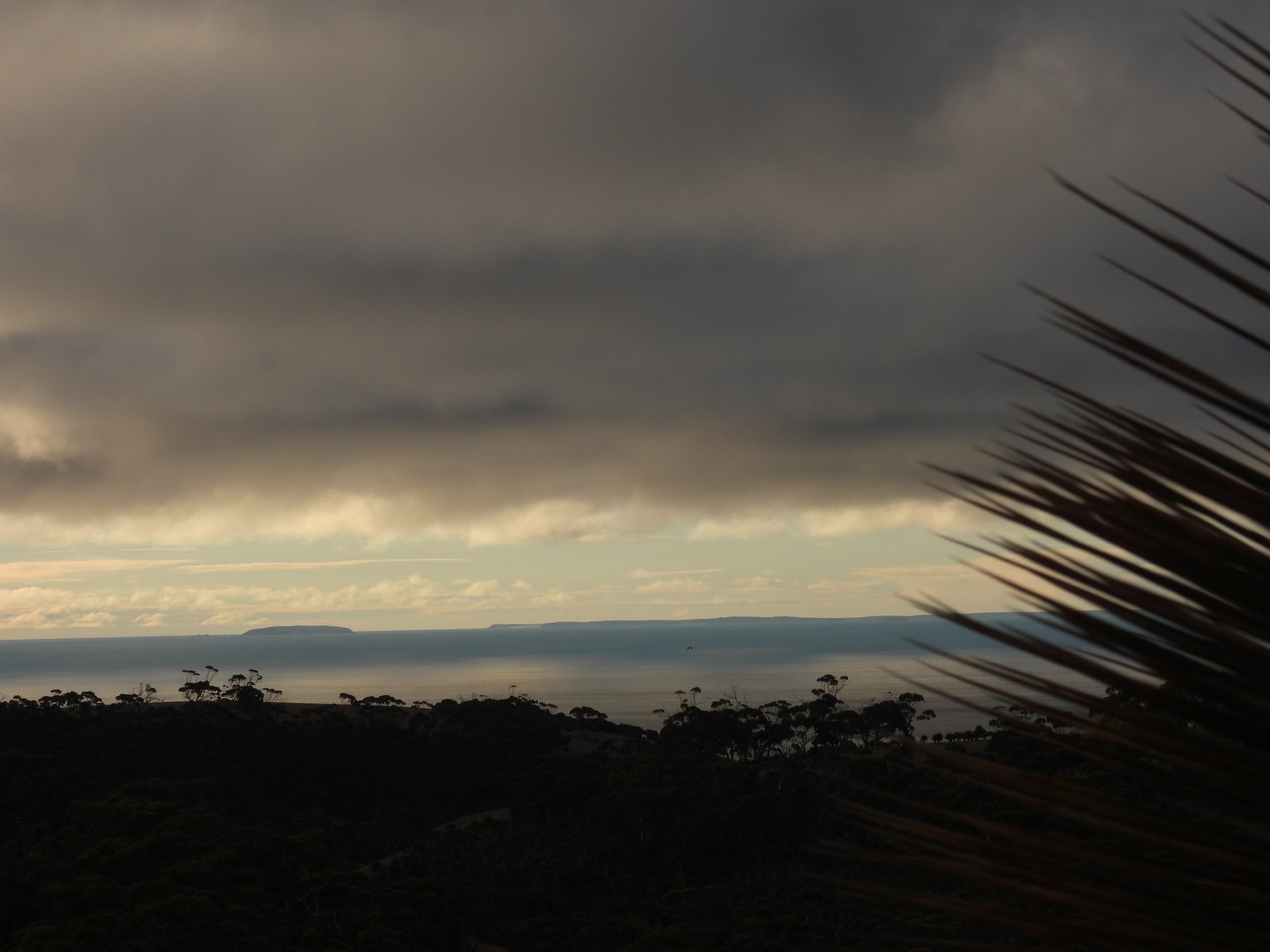 C Paterson - View to the north-eastern development area