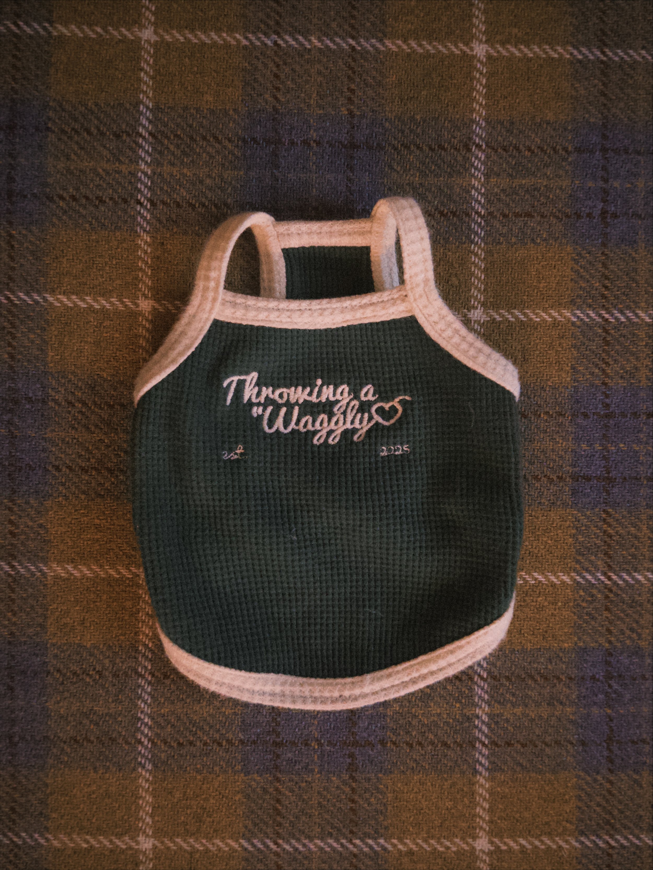 fxn 2026-02-12 1825520B6BFC196A3B.jpeg