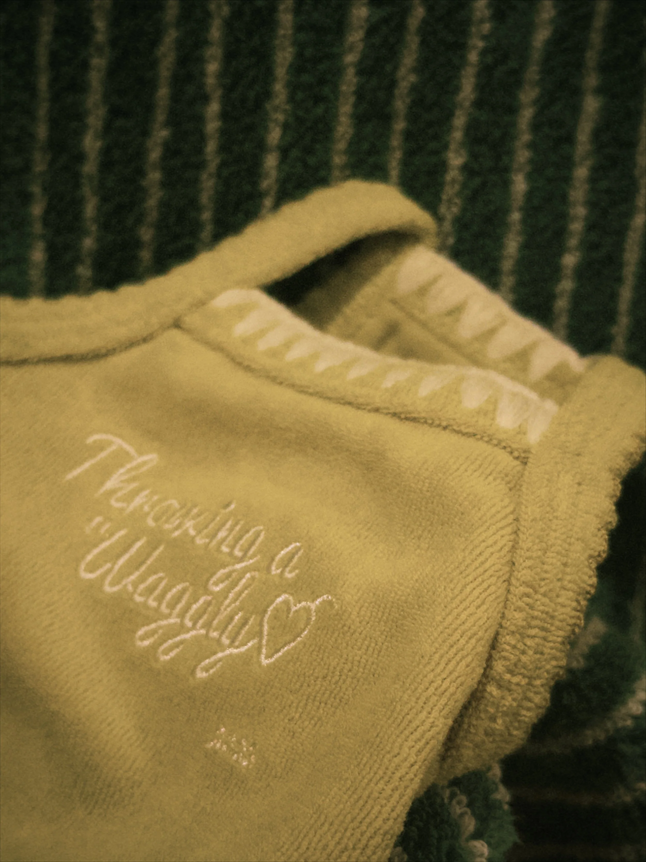 fxn 2026-02-12 18433799ED905C4C6D.jpeg