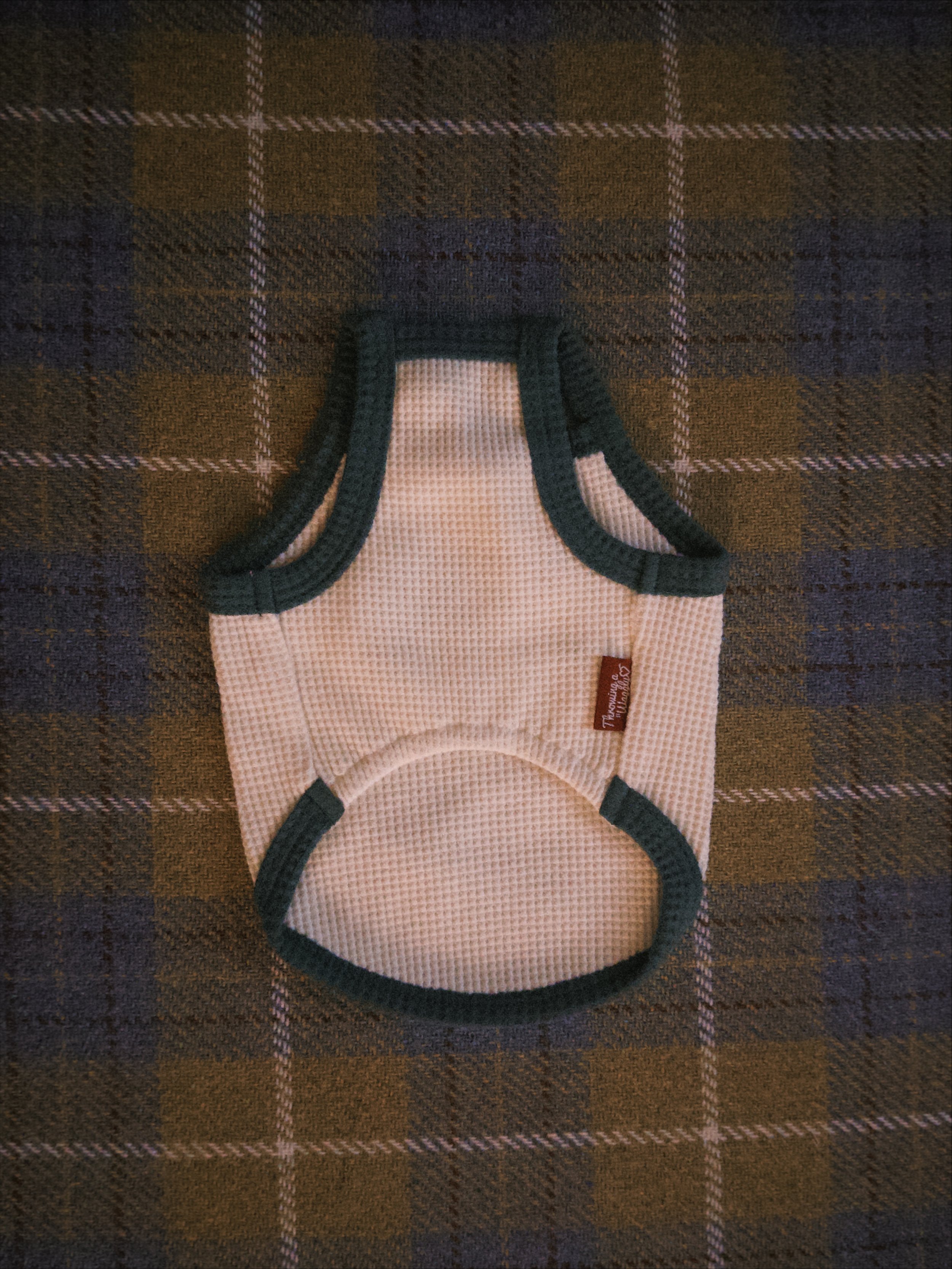 fxn 2026-02-12 182830F0288FE9D581.jpeg