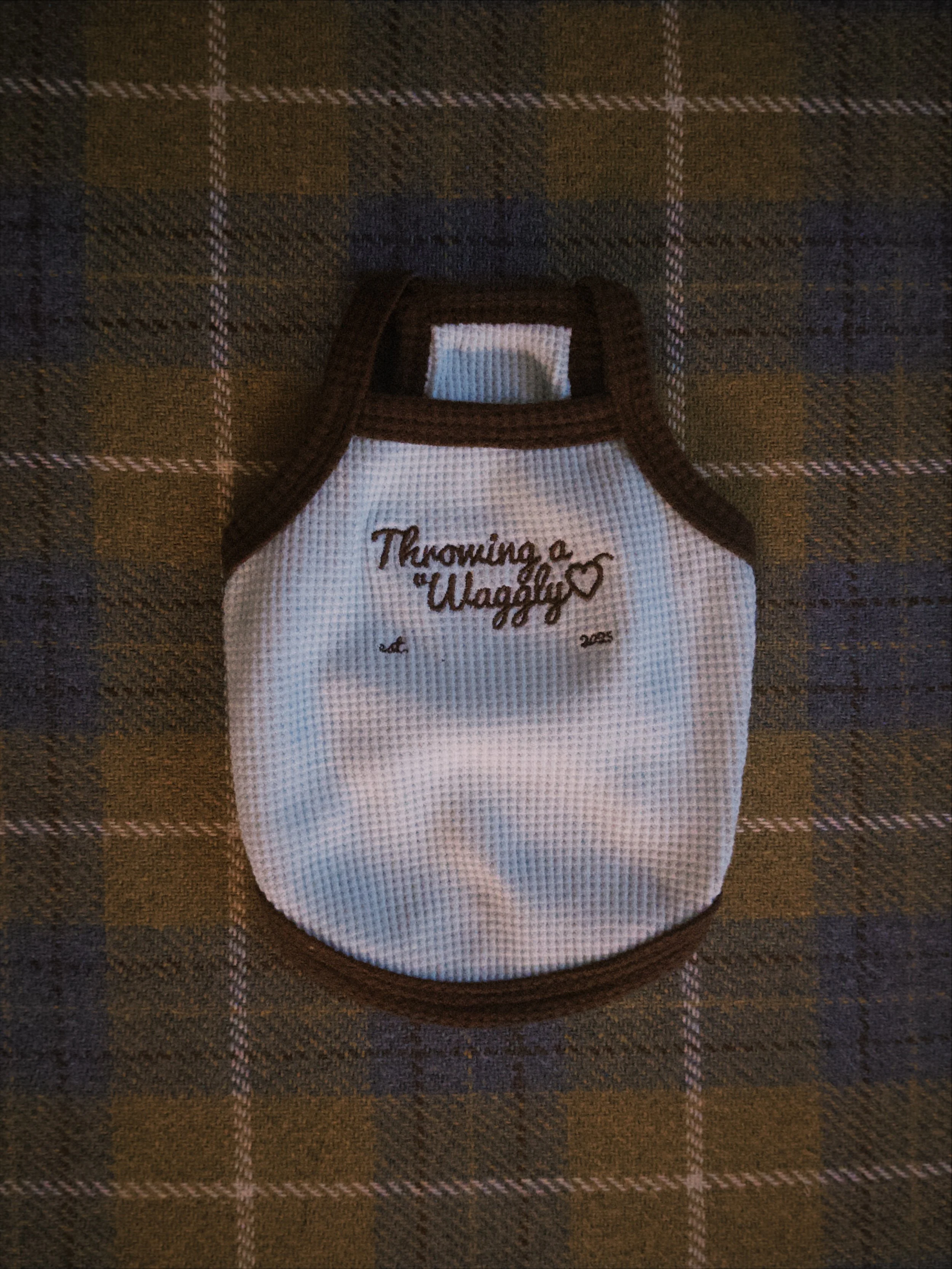 fxn 2026-02-12 182911DDFB2A017FD2.jpeg