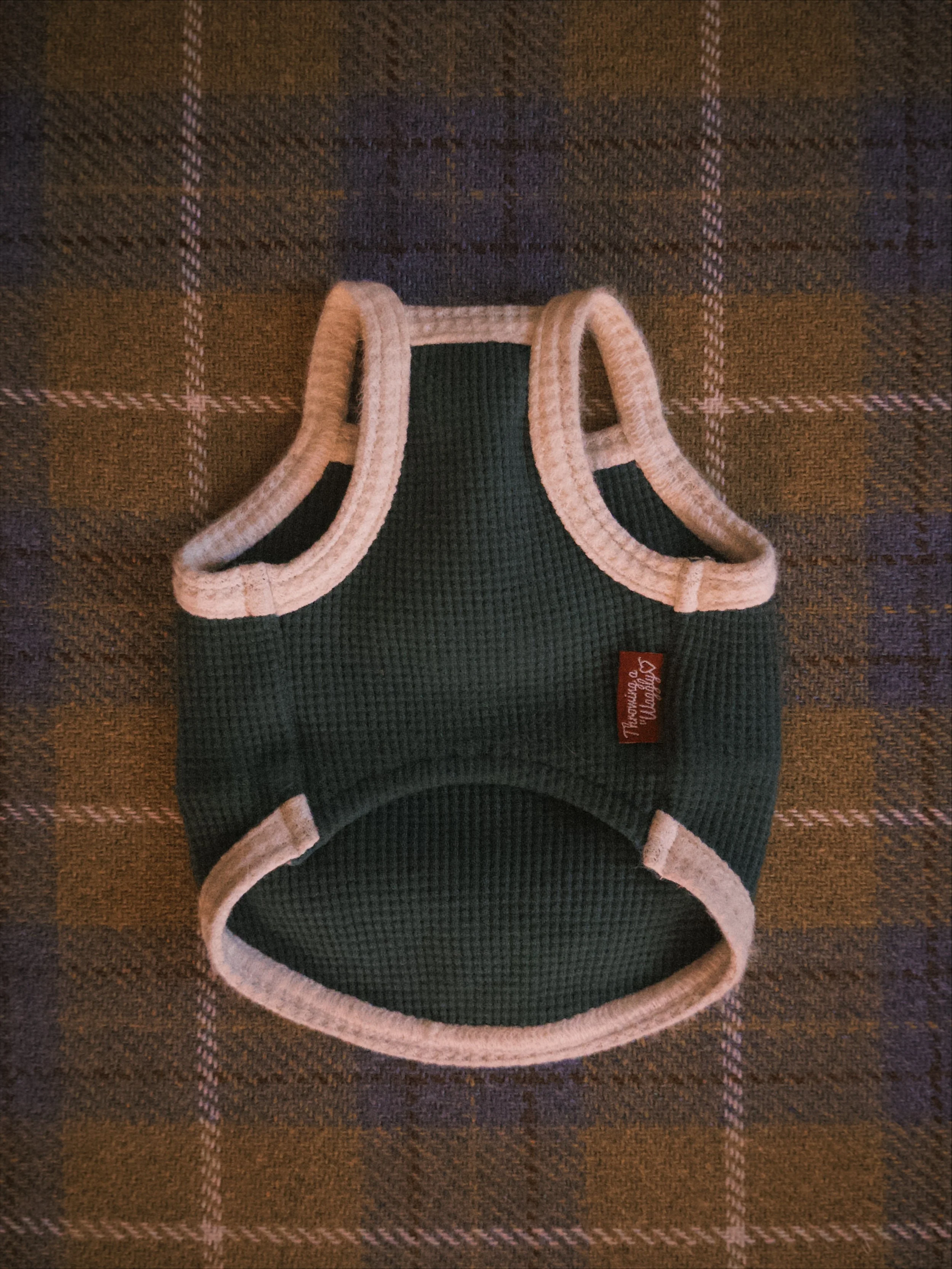 fxn 2026-02-12 1825433104A3D31FB3.jpeg