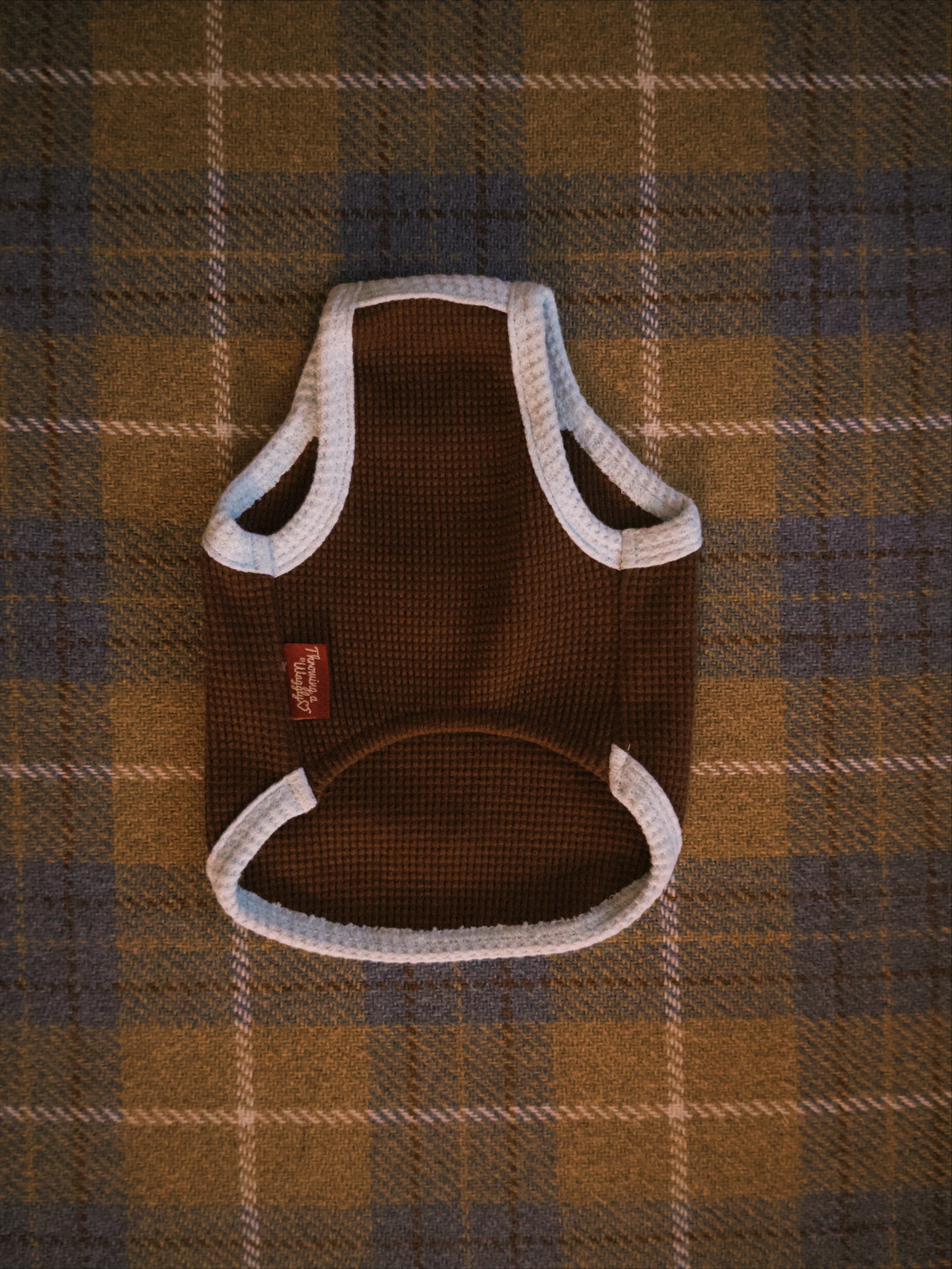 fxn 2026-02-12 183040ECEAD4F4CCD9.jpeg