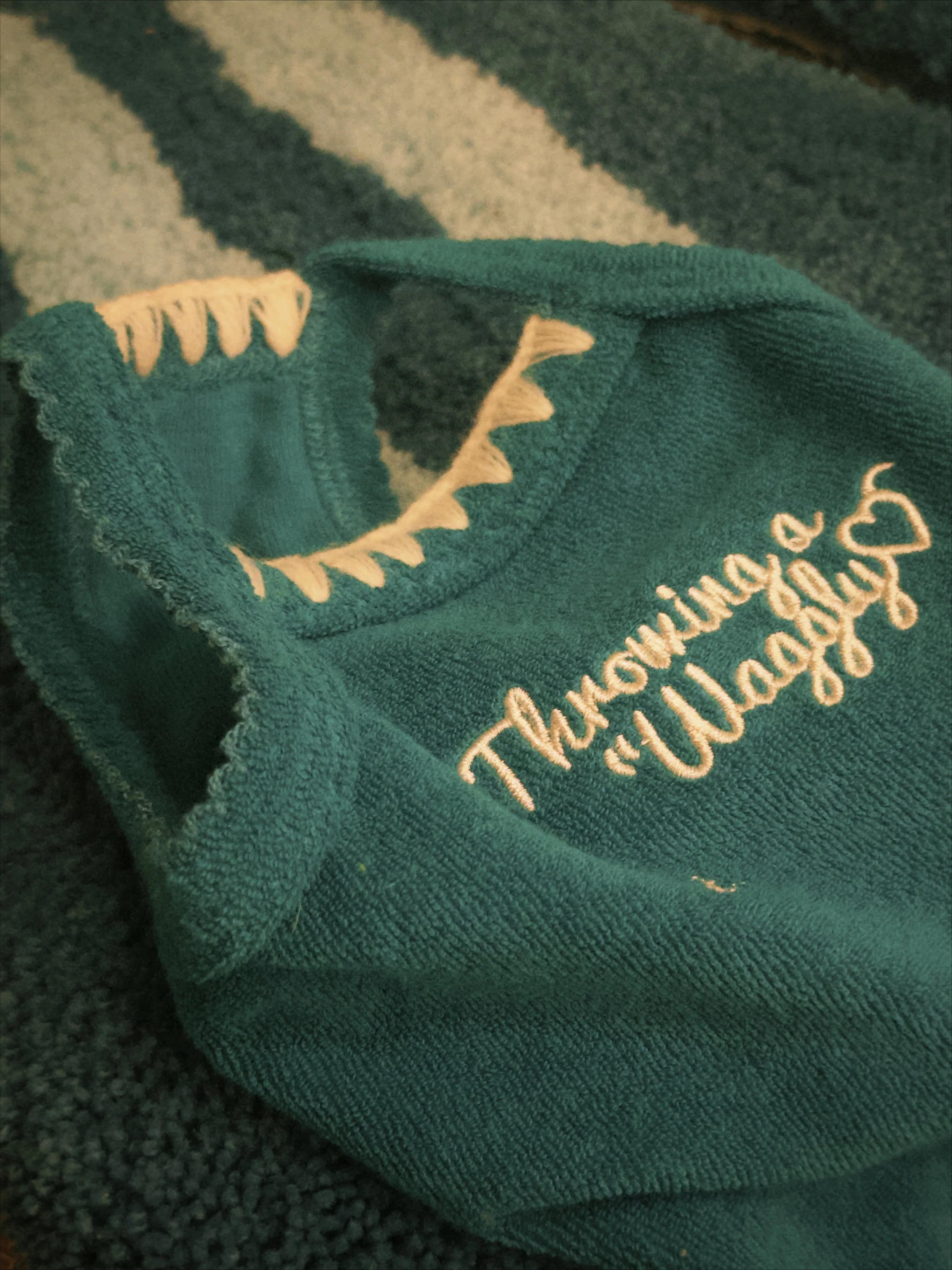 fxn 2026-02-12 184523C57DE7C6B892.jpeg