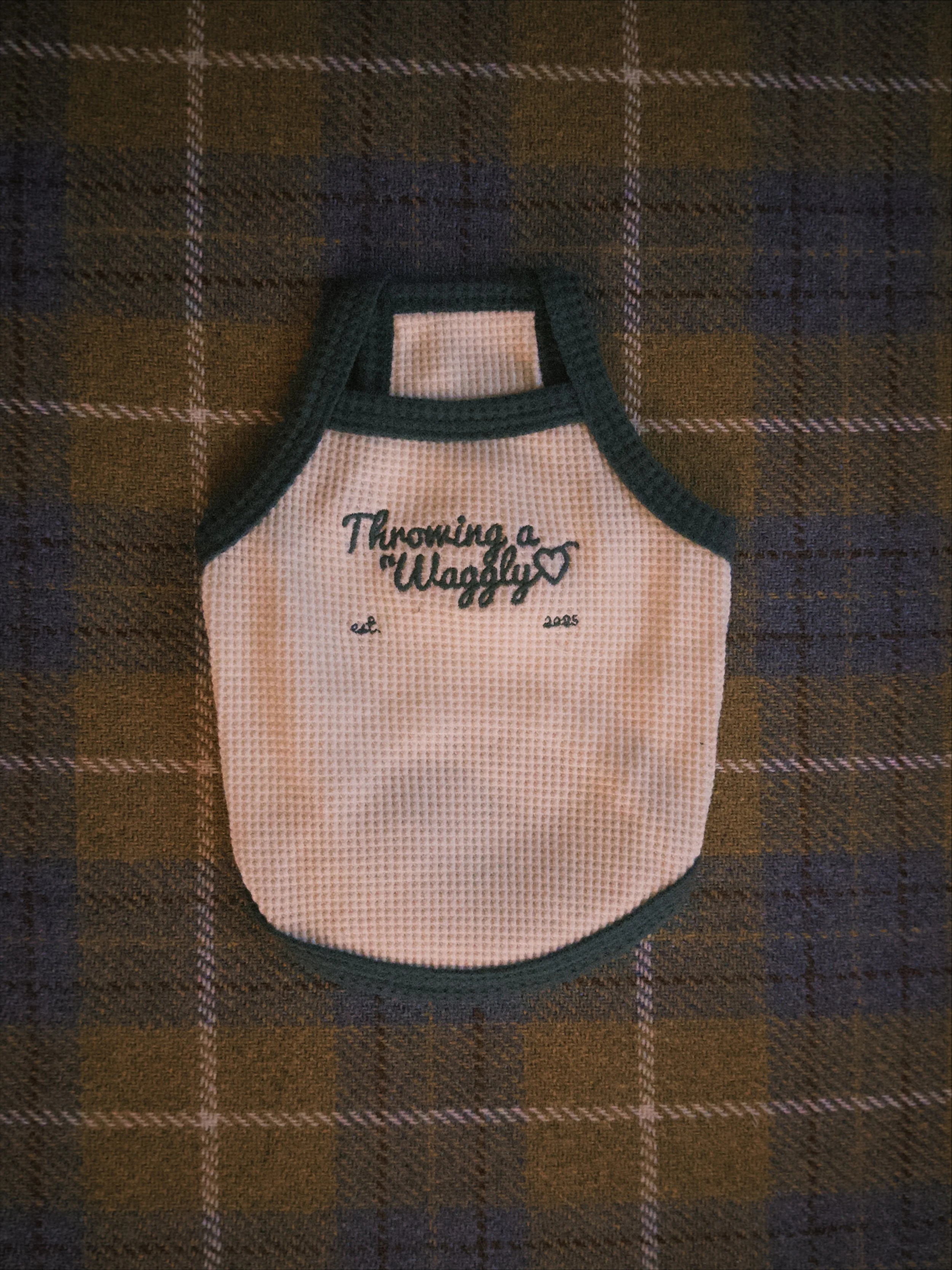 fxn 2026-02-12 1828368A73CA3B71DC.jpeg